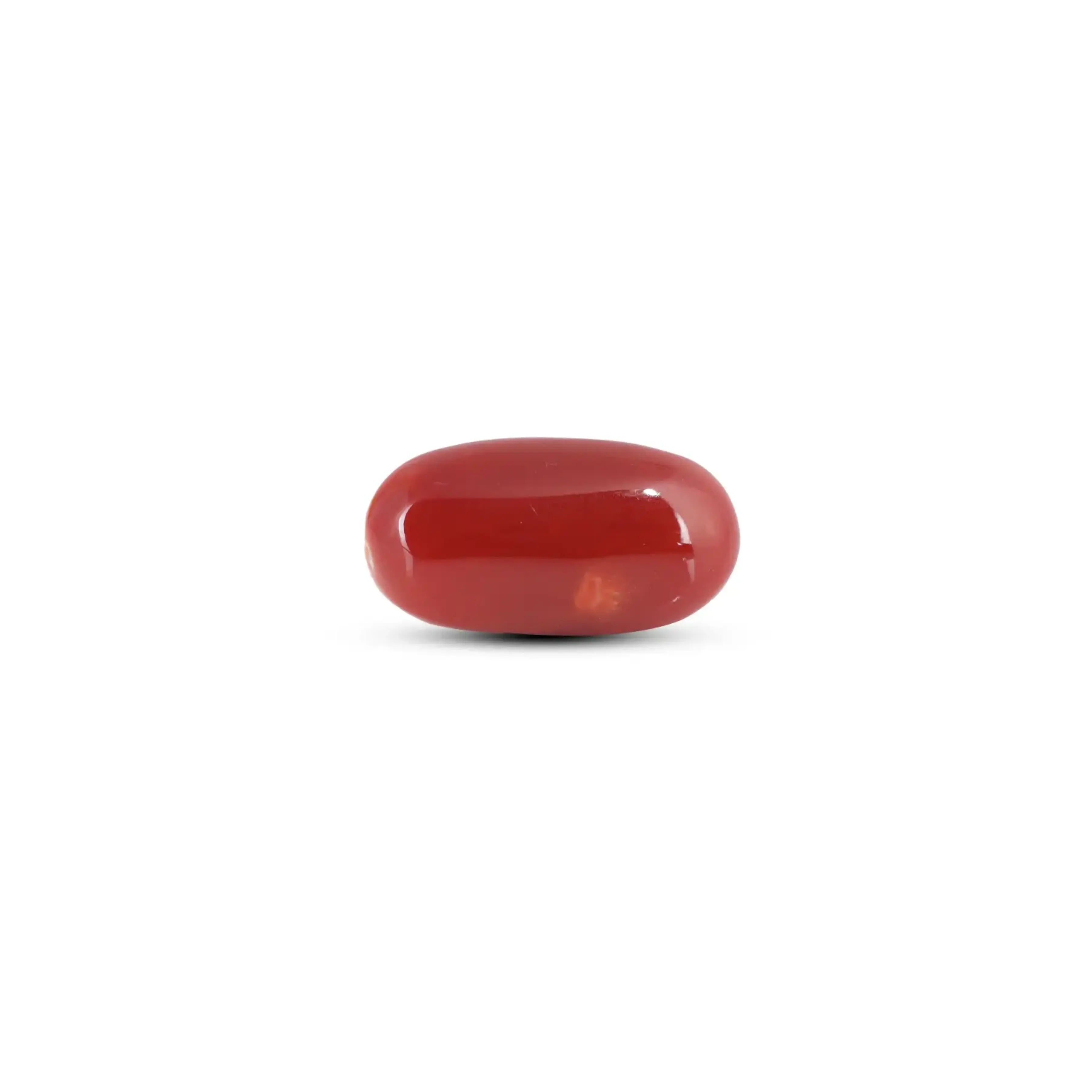 Pramogh Japanese Red Coral - 6.15 Carat