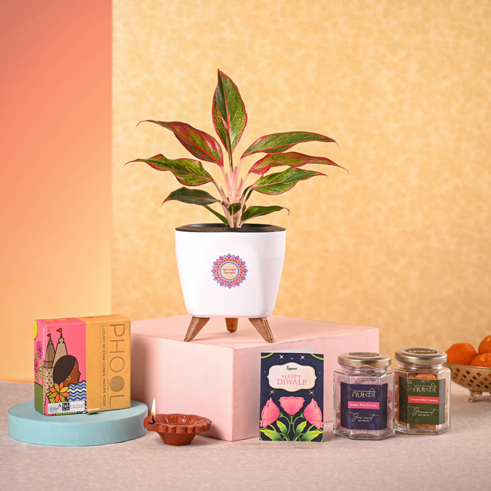 Ugaoo Aglaonema Red Plant & Phool Diwali Gift Hamper