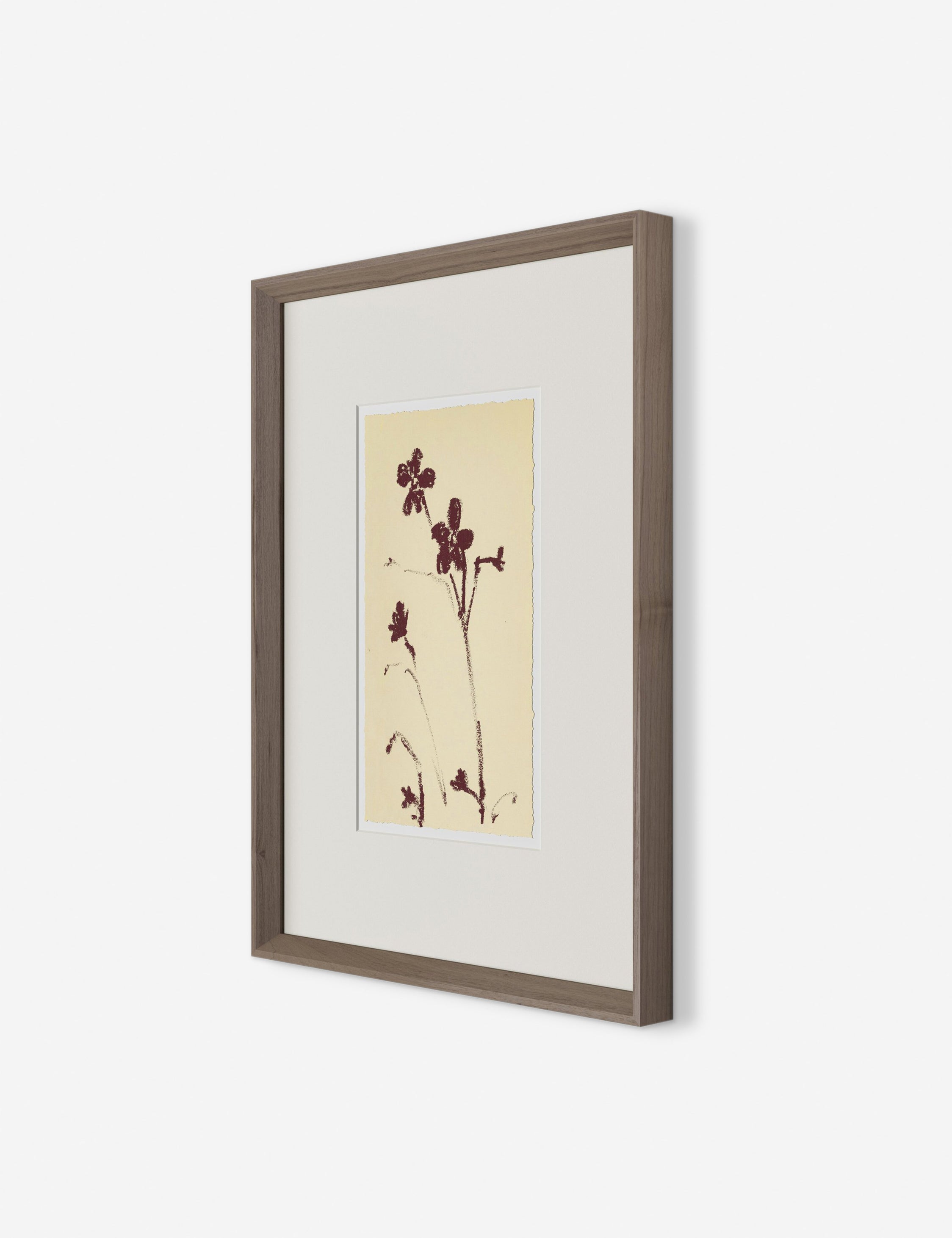Lulu and Georgia Meadow Rue No. 9 Wall Art by Shaina Page - view 2