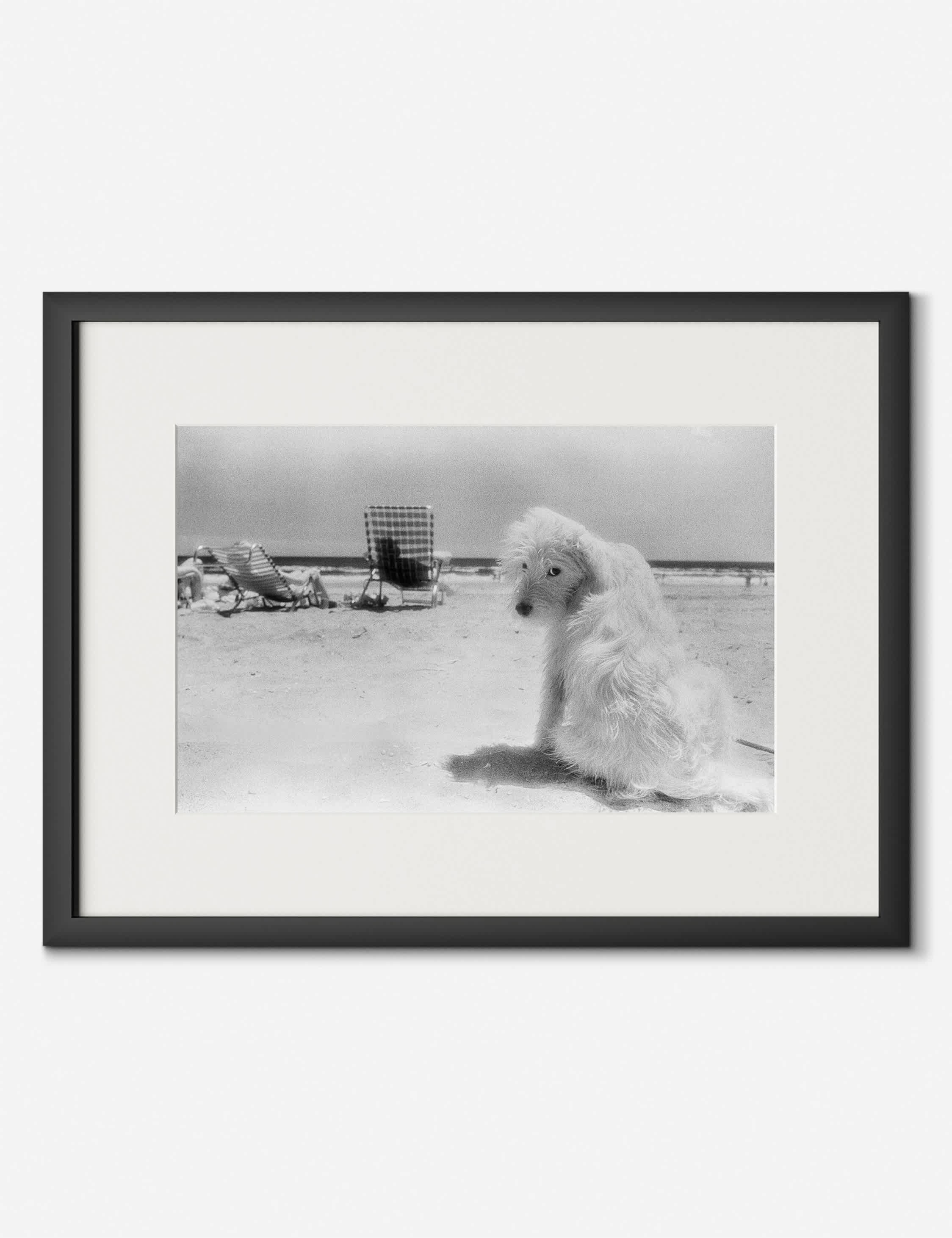 Lulu and Georgia Lois At The Beach Photography Print by Barbara Alper