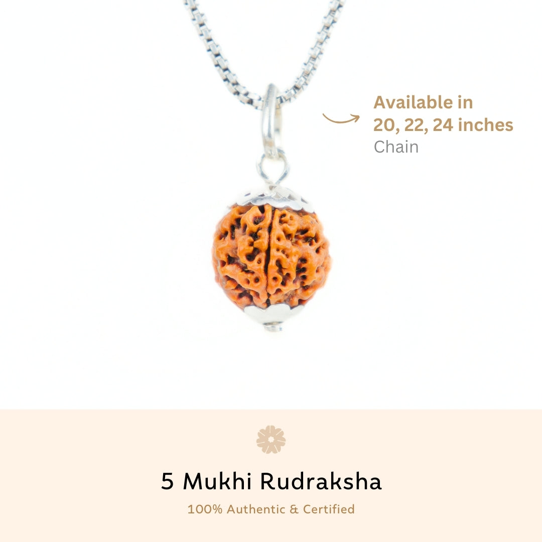 Prinjal Jewellers Silver Capping 5 Mukhi Rudraksha Pendant With Chain ( Nepali ) - view 3