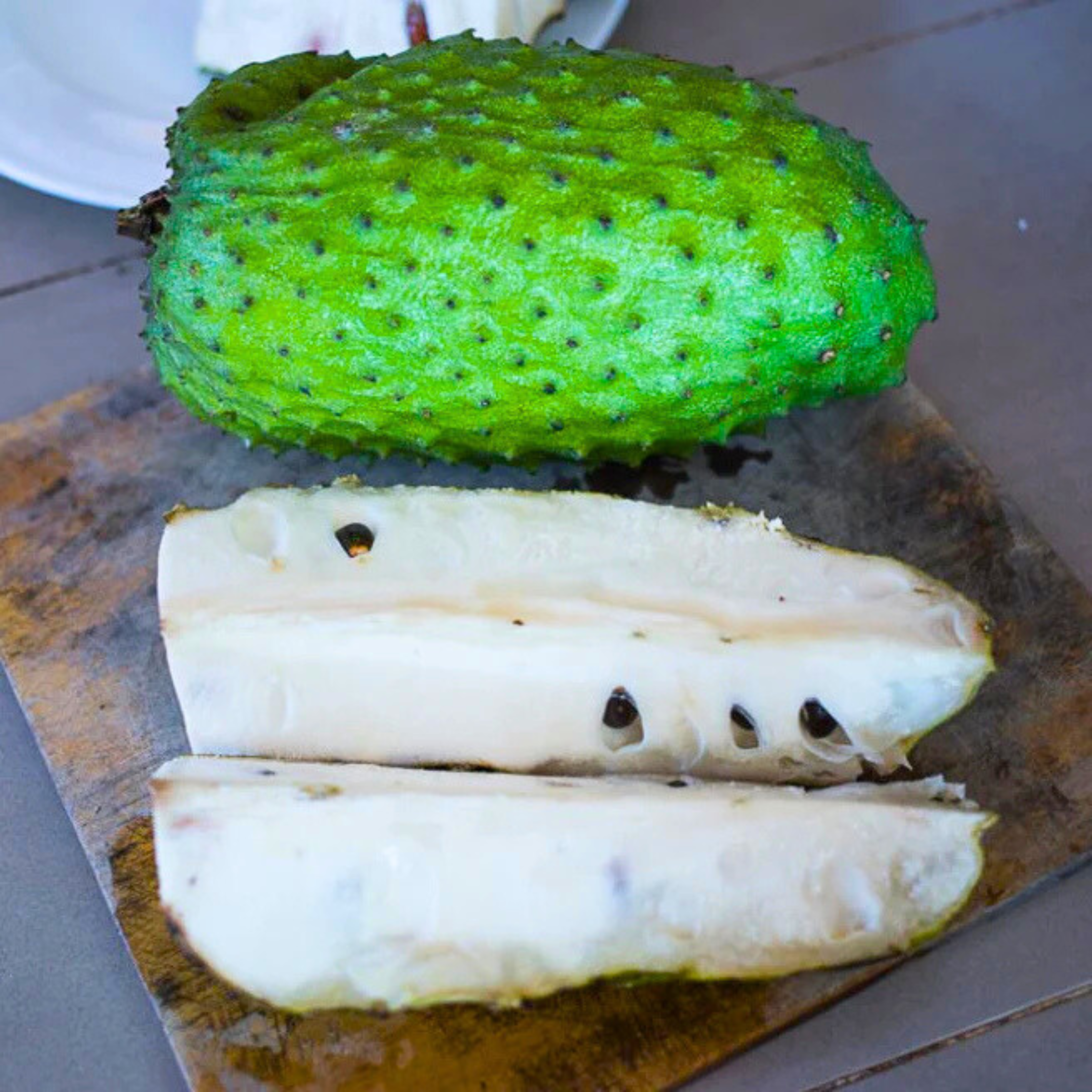 MR Soursop (Annona Muricata) Fruit Live Plant