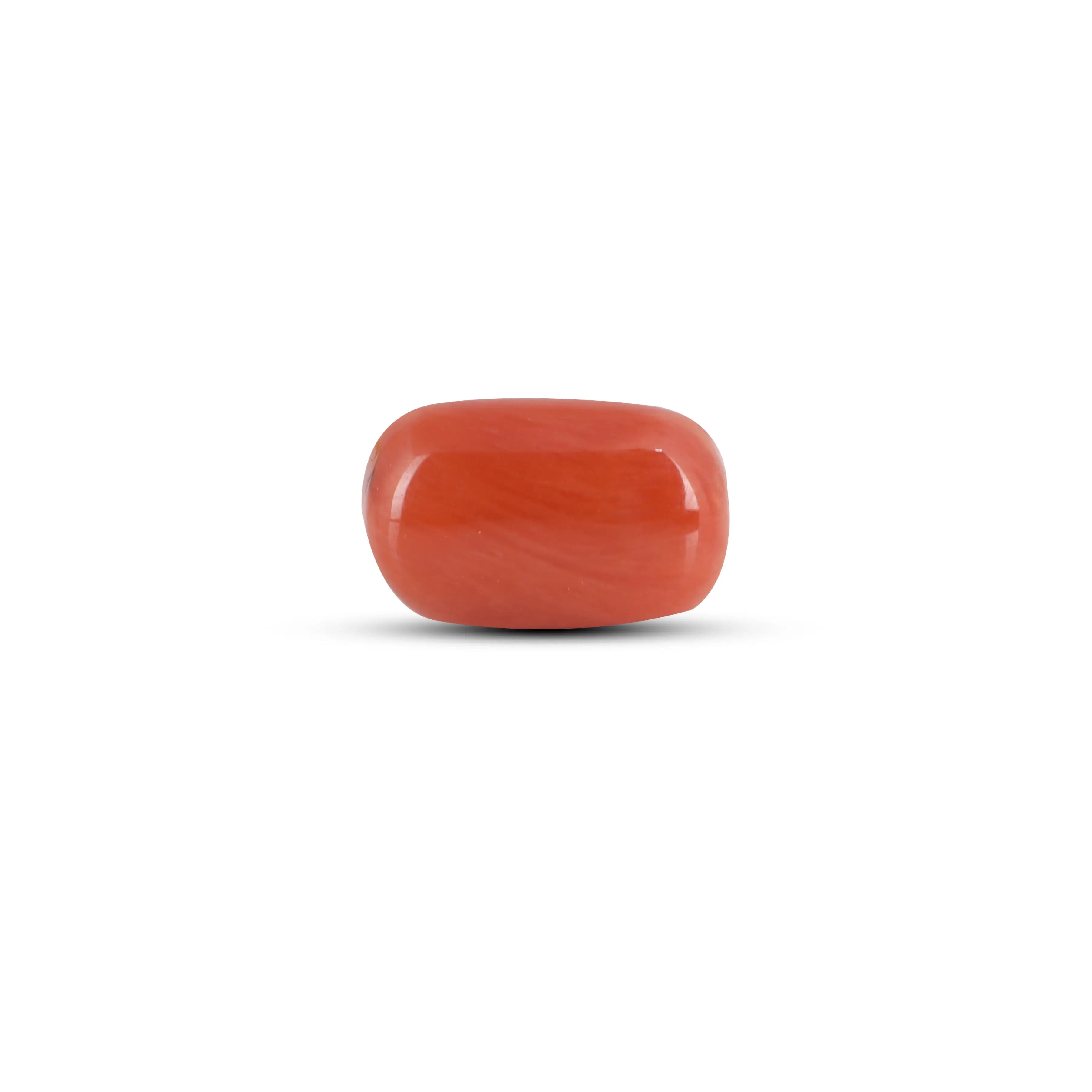 Pramogh Red Coral - 2.83 Carat