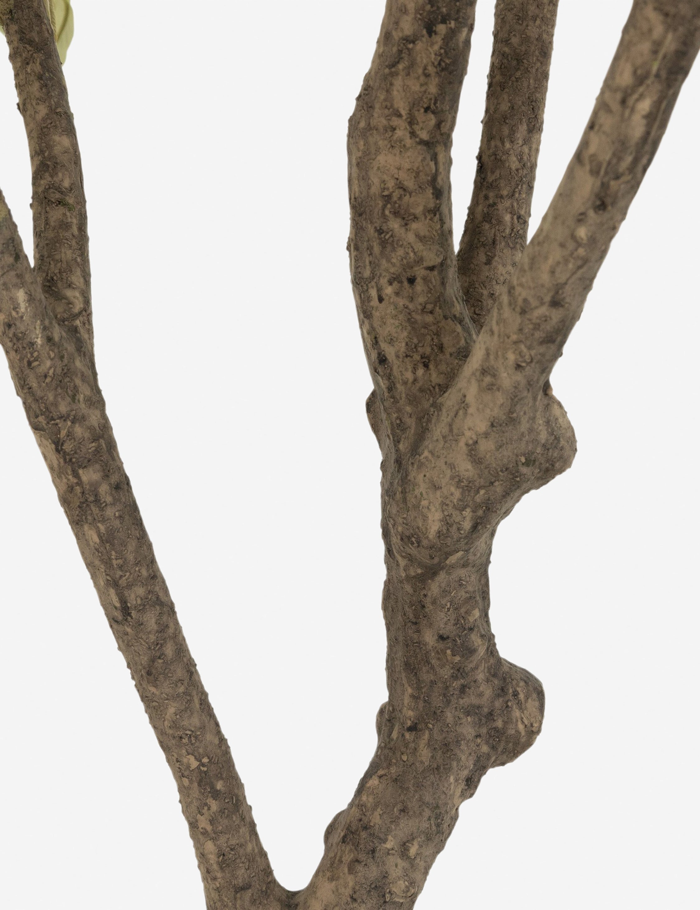 Lulu and Georgia Faux Olive Tree - view 9