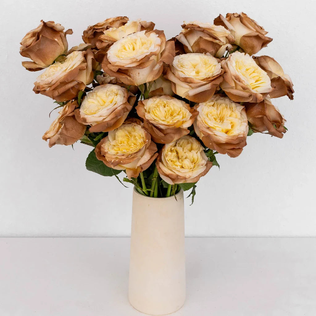 FiftyFlowers Mocha Tinted Champagne Garden Rose - view 2