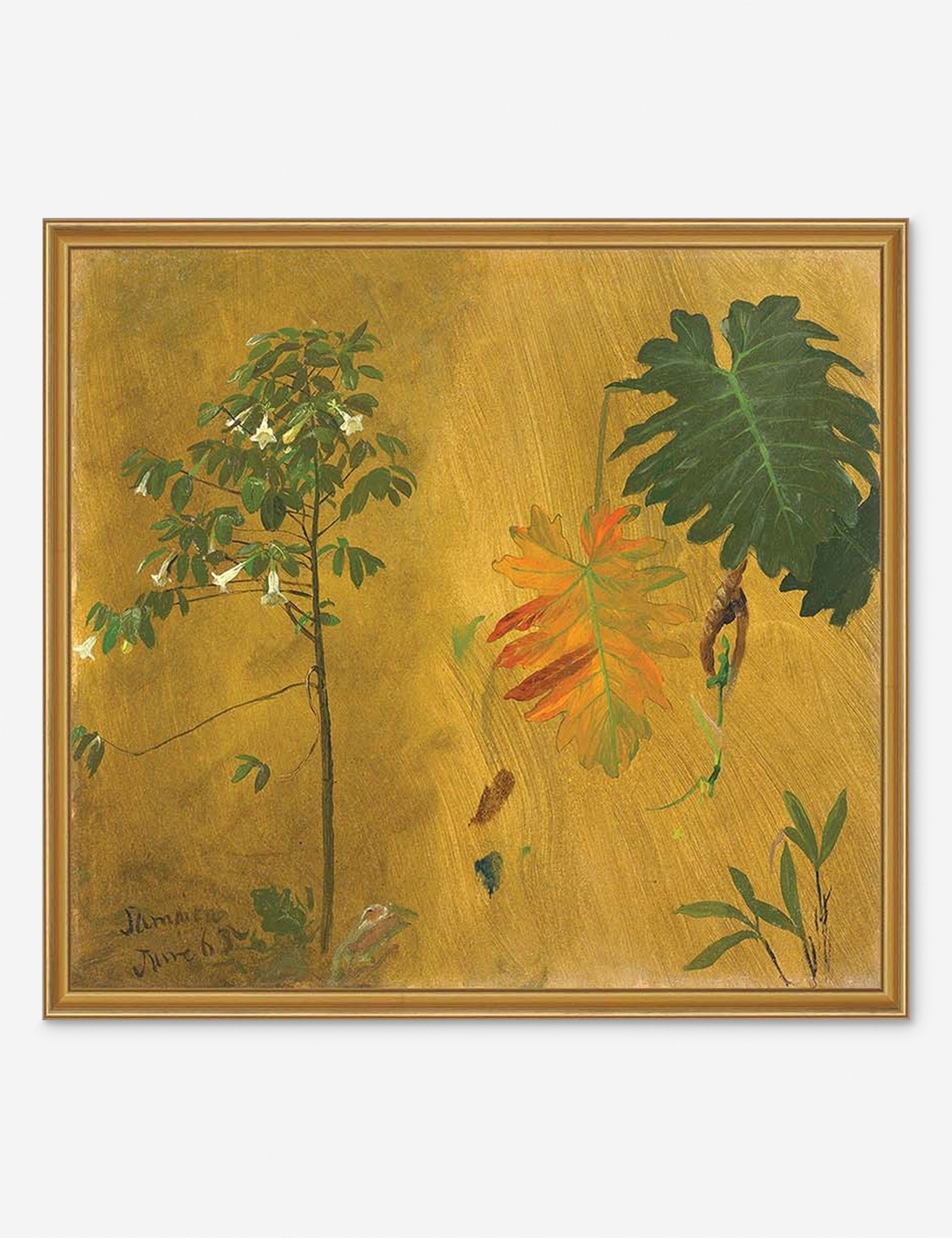 Lulu and Georgia Botanical Study, Jamaica Print by Frederic Edwin Church - view 2