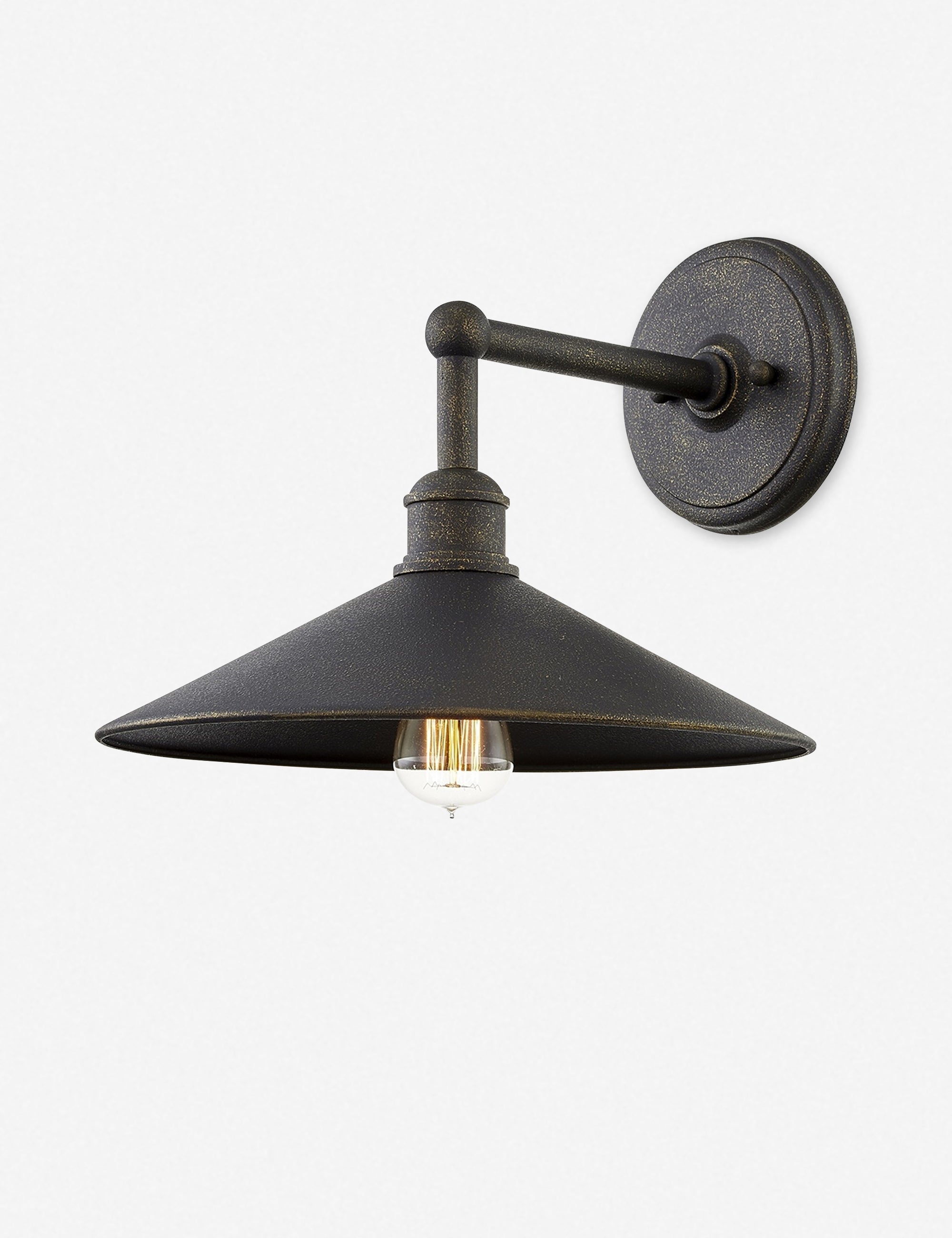 Lulu and Georgia Capriana Outdoor Sconce