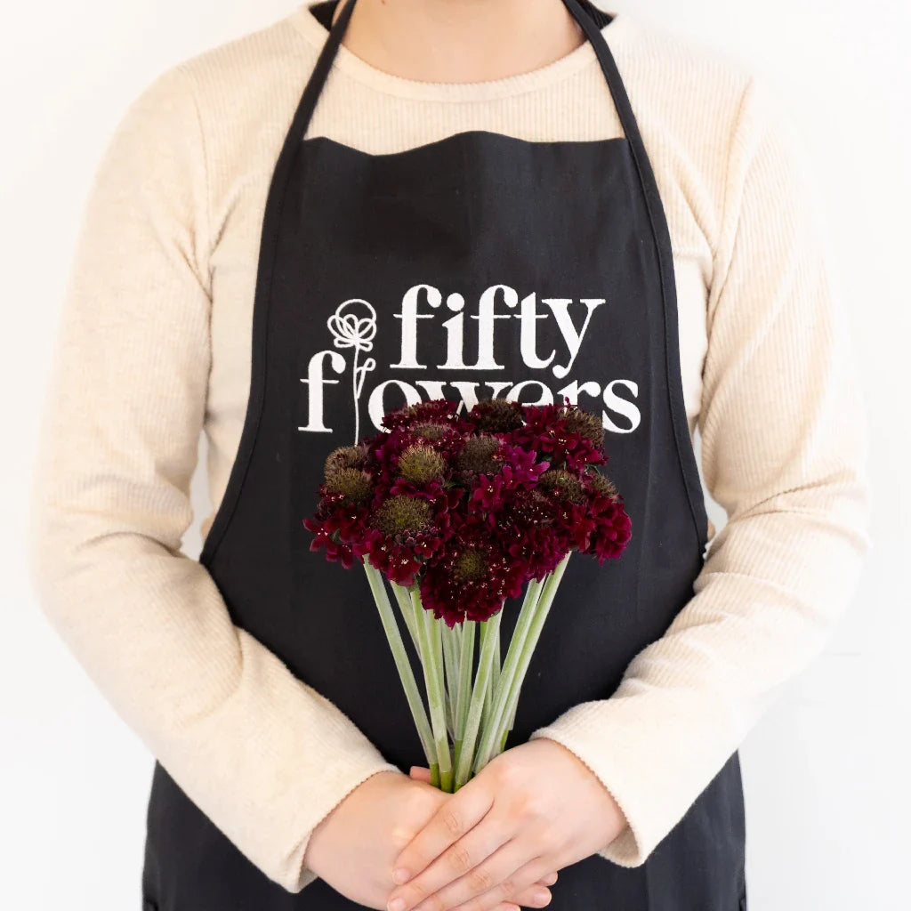 FiftyFlowers Red Velvet Scabiosa Flower