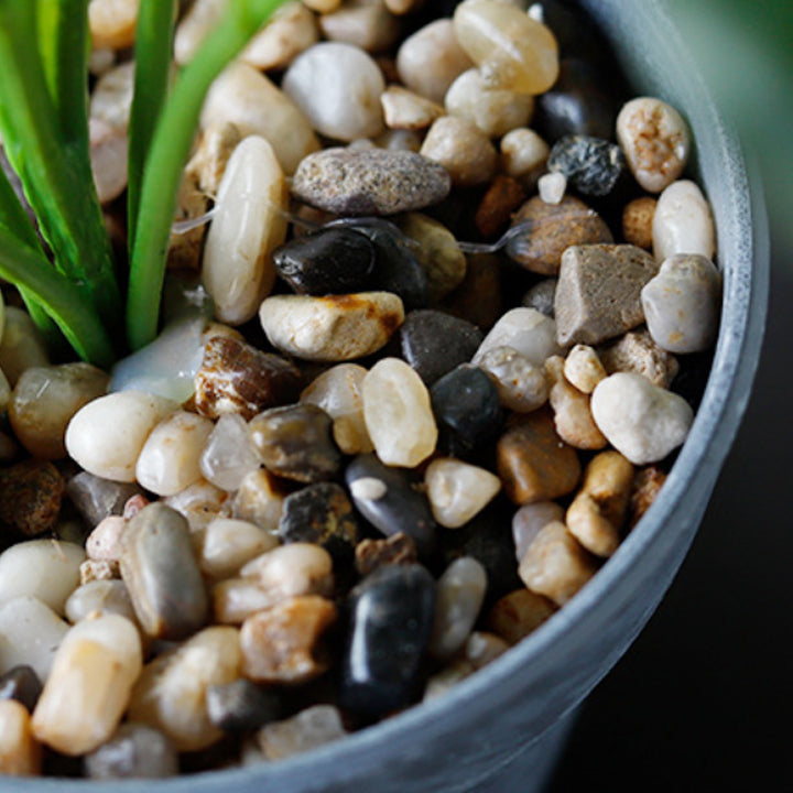 Nestasia Artificial Plant in Pot - view 8
