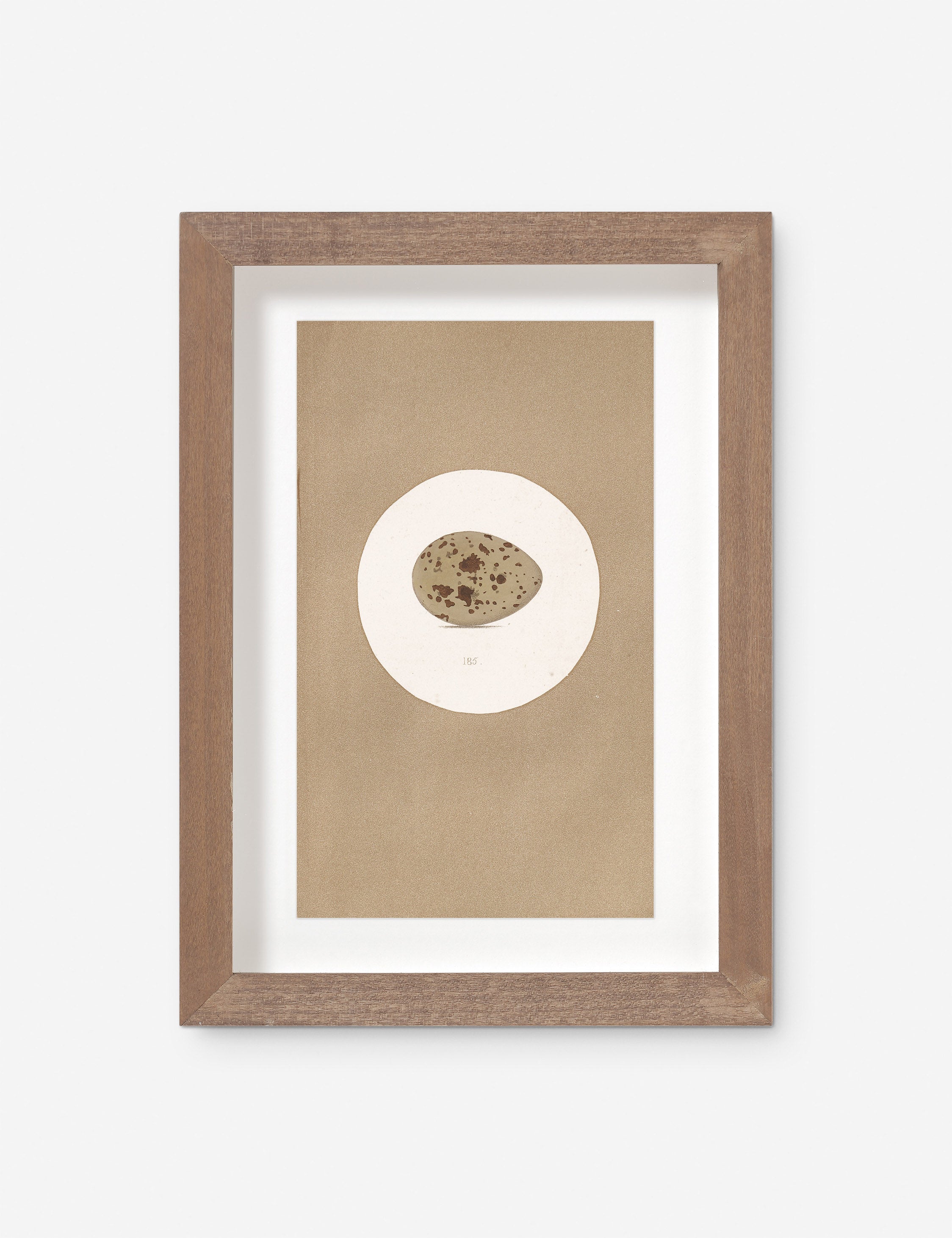 Lulu and Georgia Vintage Bird Watercolor No. 185 Wall Art by Visual Contrast