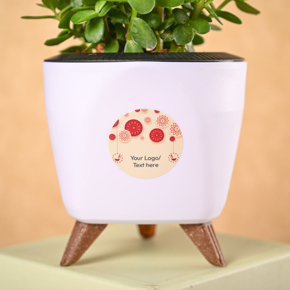 Ugaoo Jade Mini & Phool Incense Diwali Gft Hamper - view 3