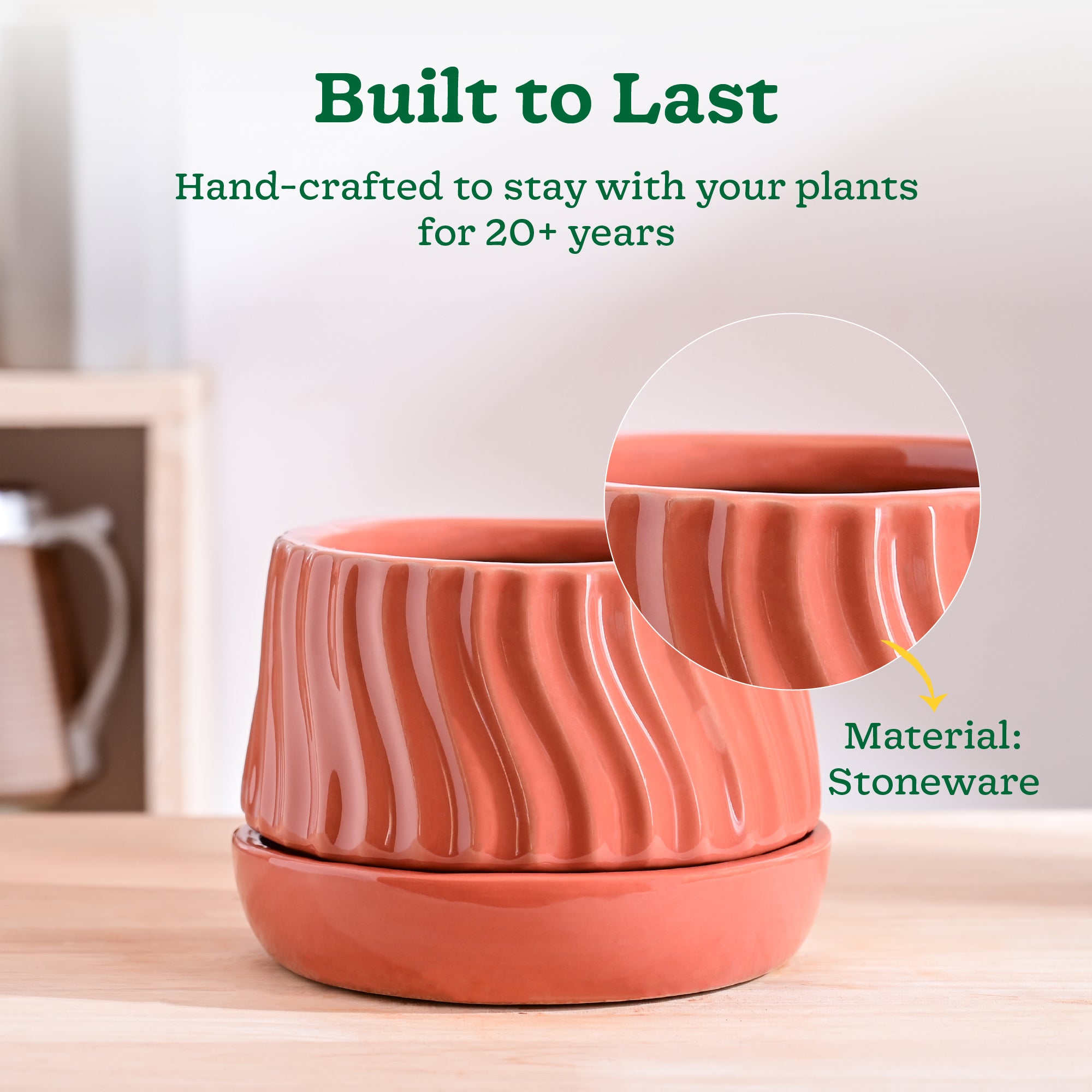 Ugaoo Fallen Angel Ceramic Planter - view 27