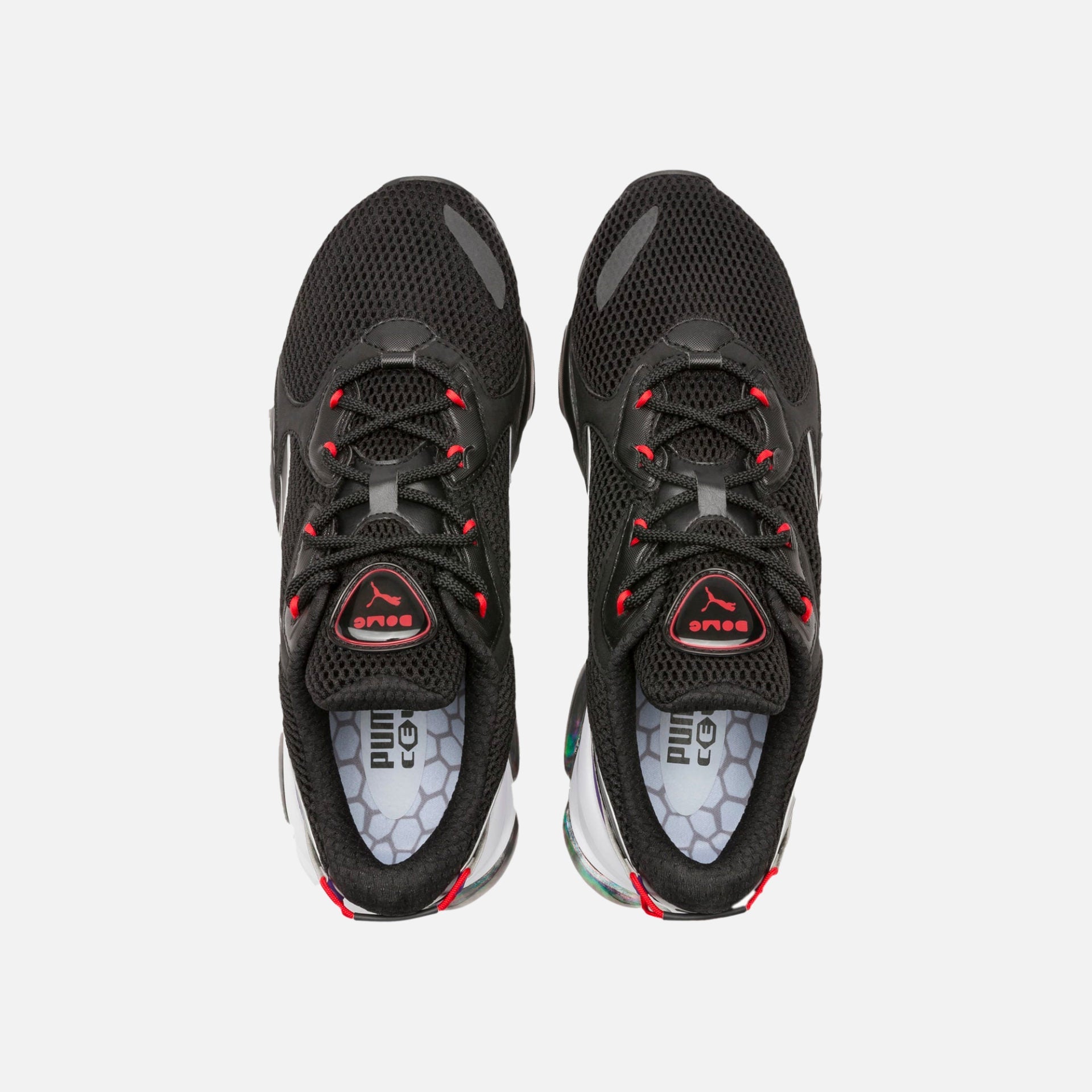 Puma | CELL DOME GALAXY - view 2