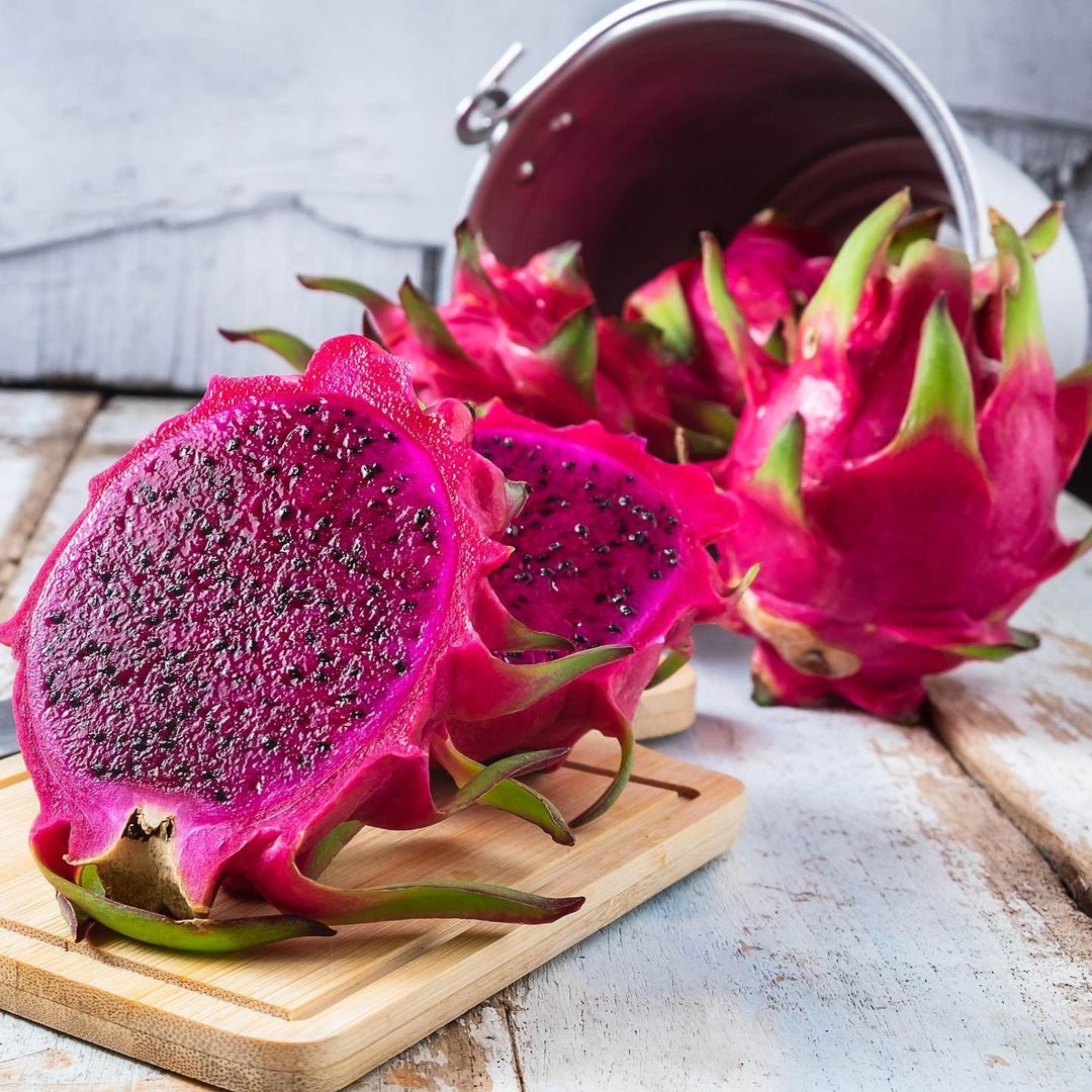 VL American Beauty Dragon Fruit