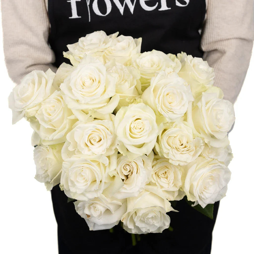 FiftyFlowers Mia White Rose