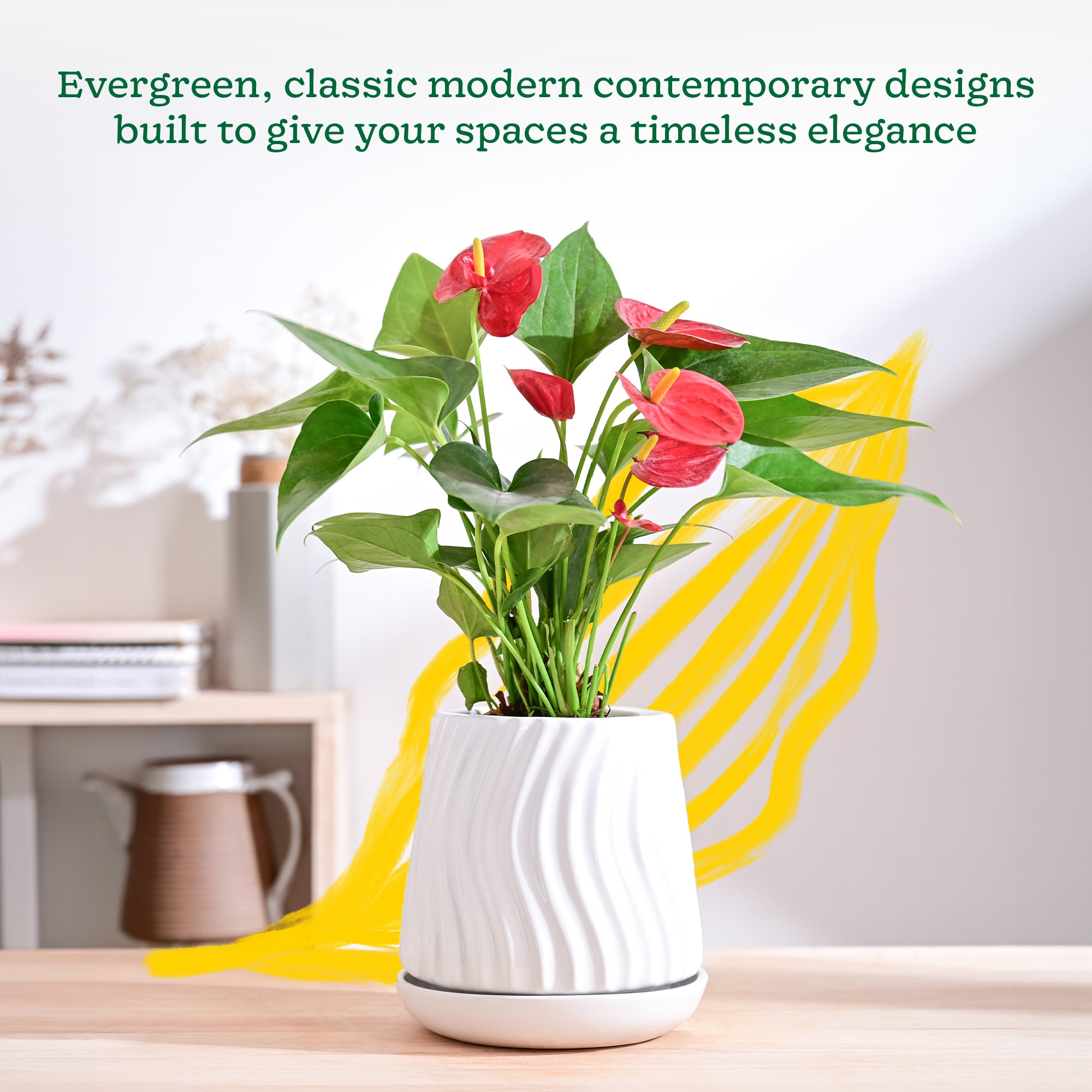 Ugaoo Fallen Angel Ceramic Planter - view 18