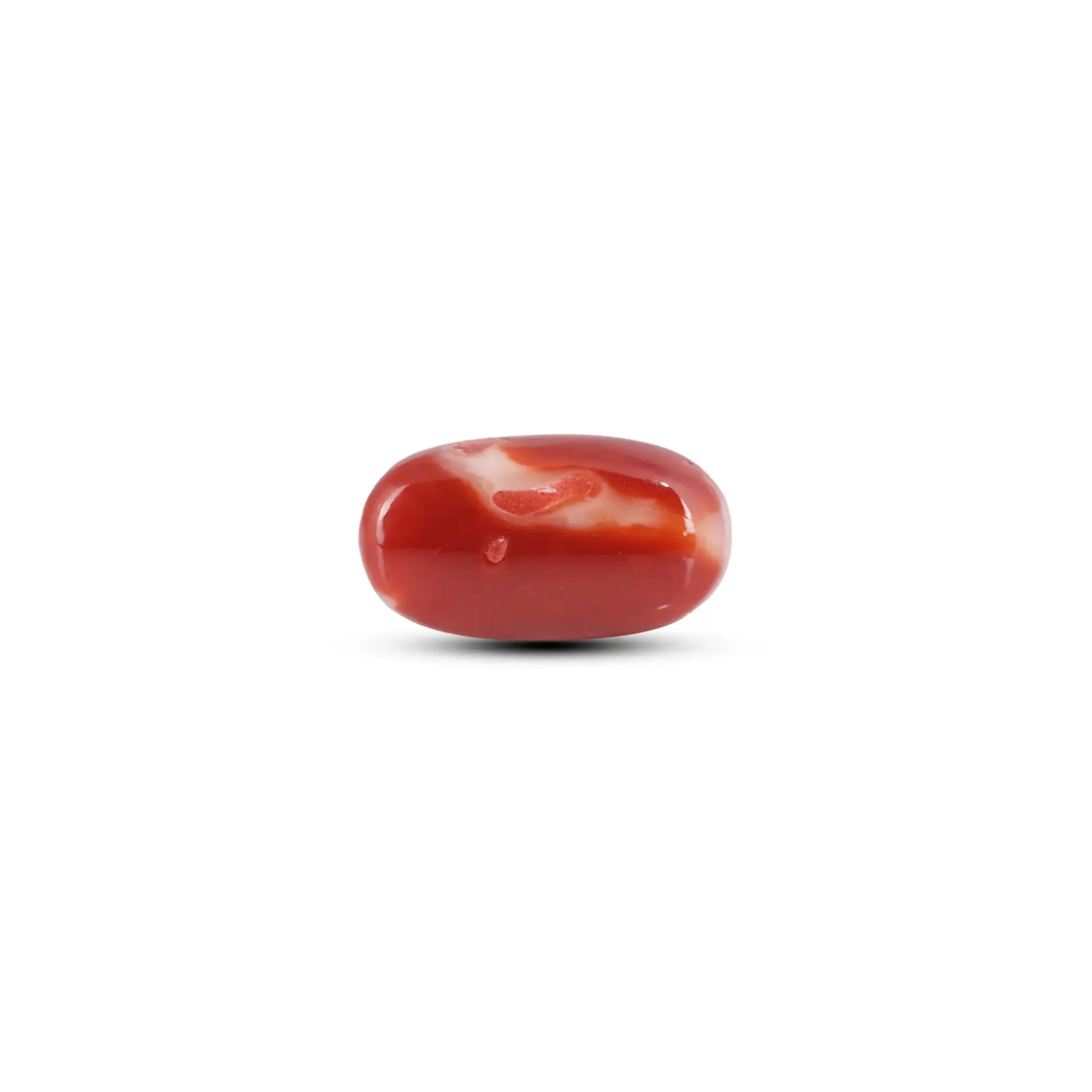 Pramogh Japanese Red Coral - 7.65 Carat - view 2