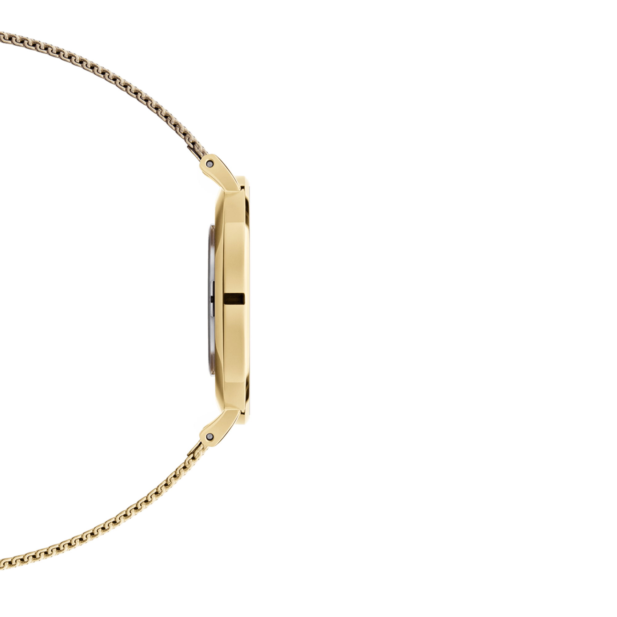 Daniel Wellington Petite Evergold White & Gold - view 2