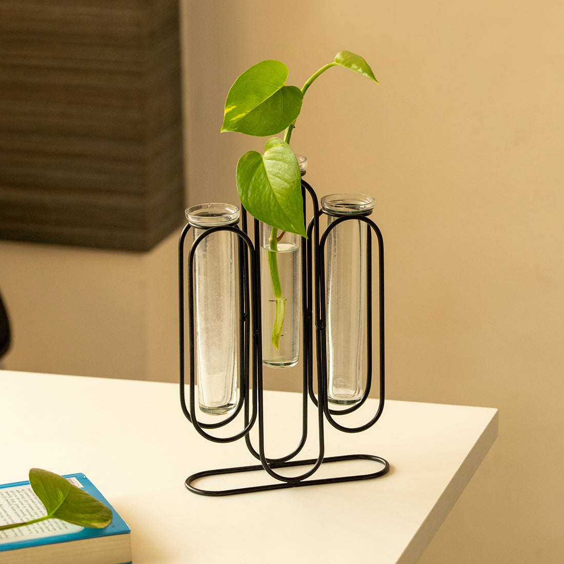 EXCLUSIVELANE 'Modern Glass Garden' Test Tube Table Planter/Vases (10 Inch, Black)
