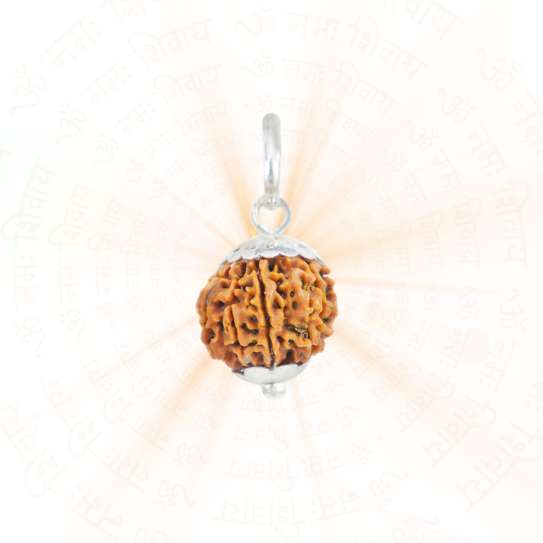 Prinjal Jewellers Silver Capping 9 Mukhi Rudraksha Pendant With Chain ( Nepali ) - view 2