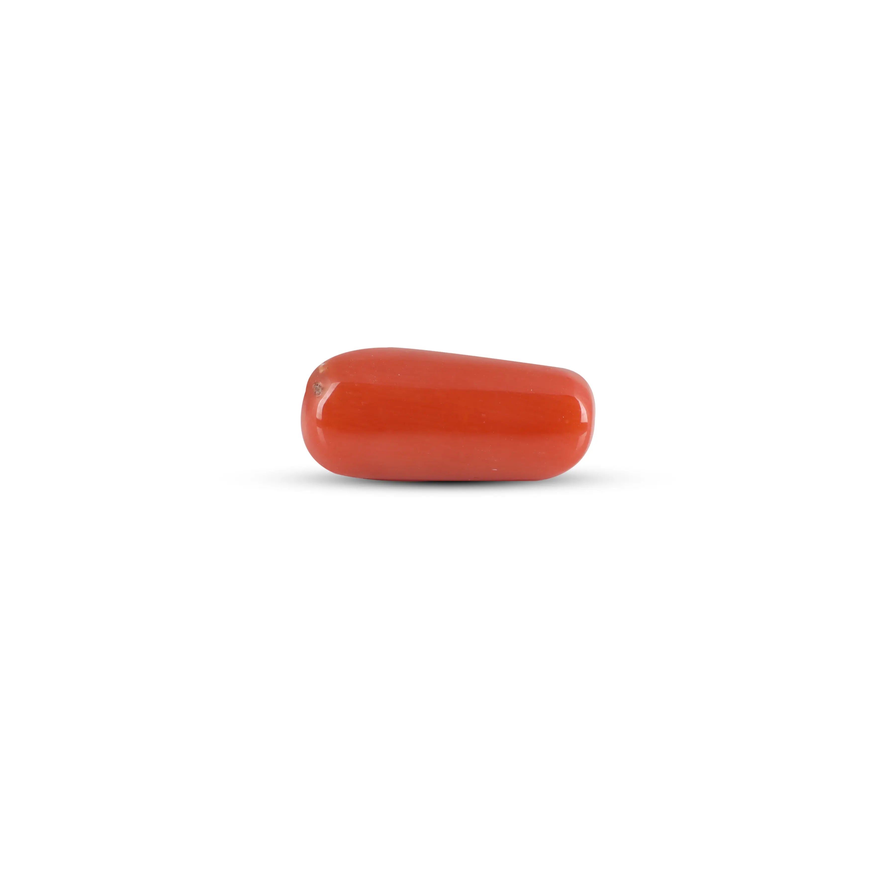 Pramogh Red Coral - 6.8 Carat