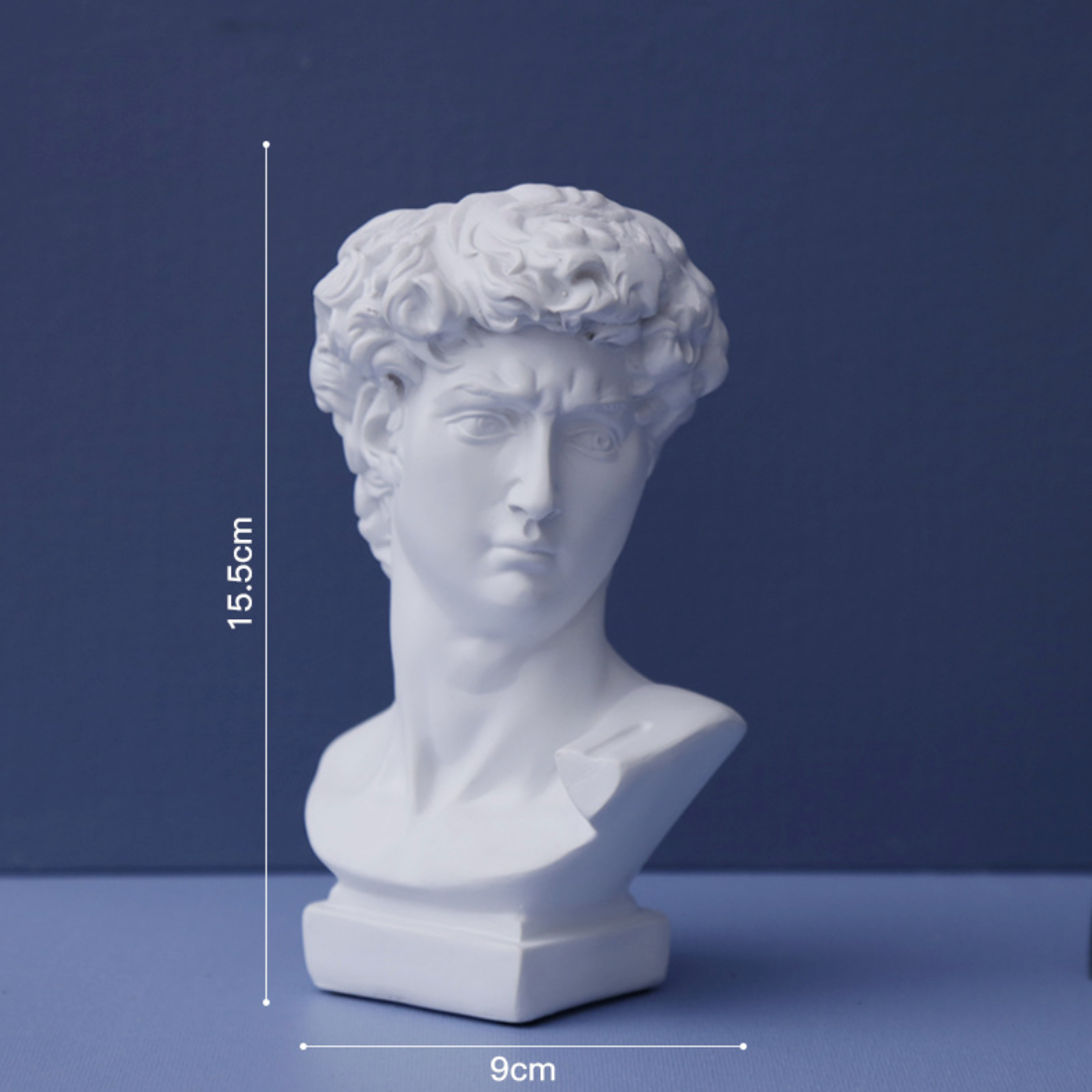 Nestasia Head Planter - view 16