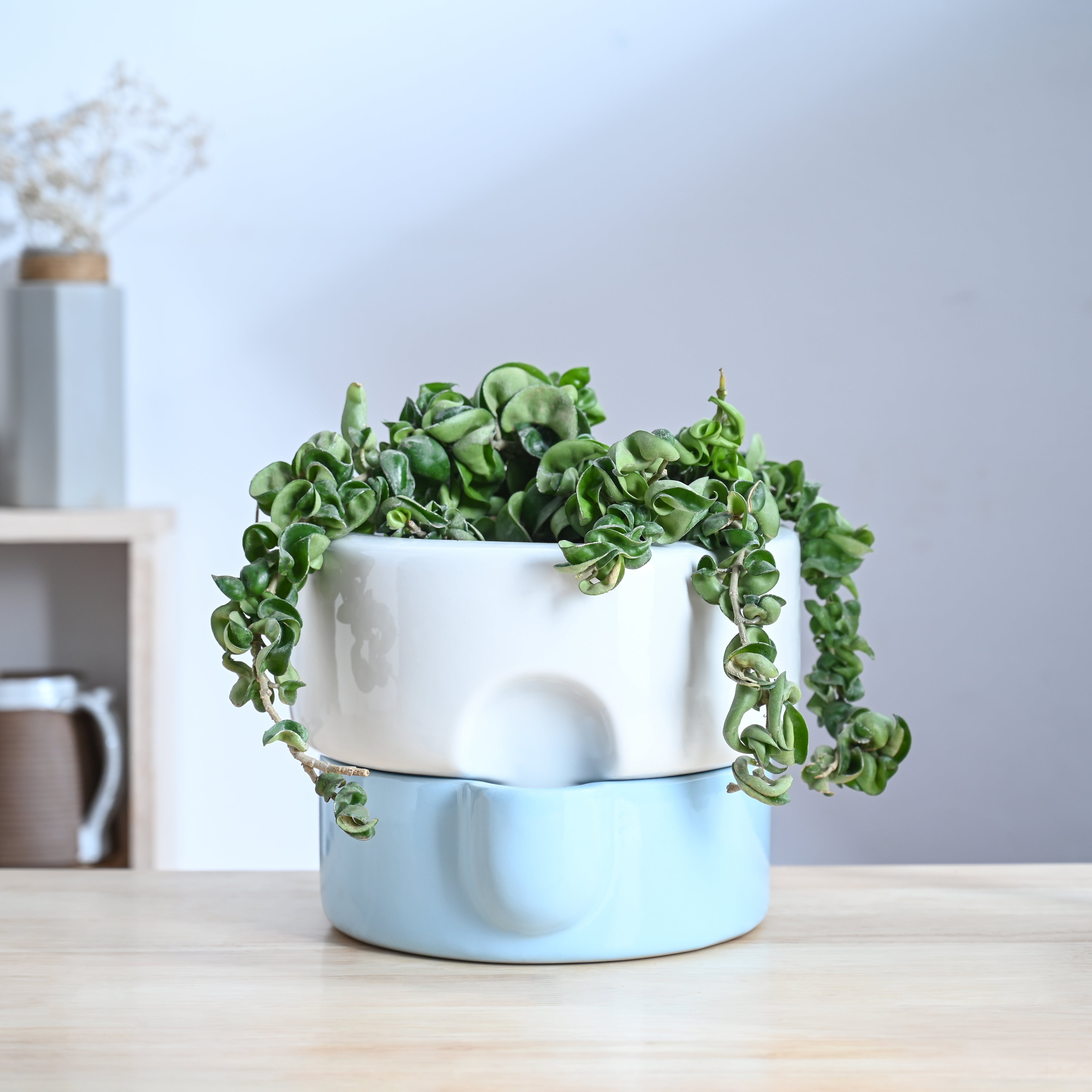 Ugaoo Flower Sunflower Ceramic Planter - view 17