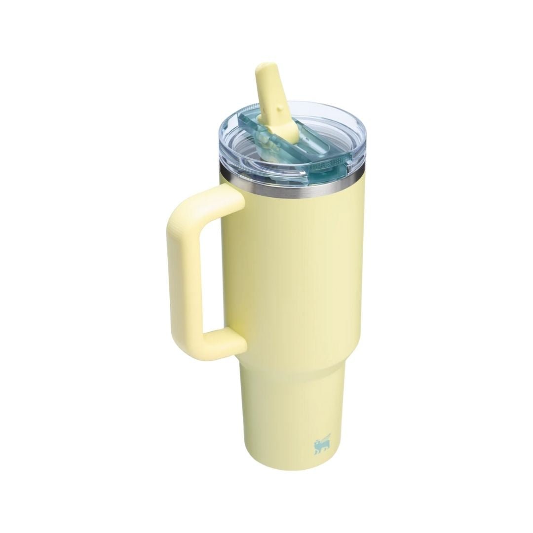 HYPE ELIXIR Stanley Quencher ProTour Flip Straw Tumbler | 40 OZ Pomelo - view 2