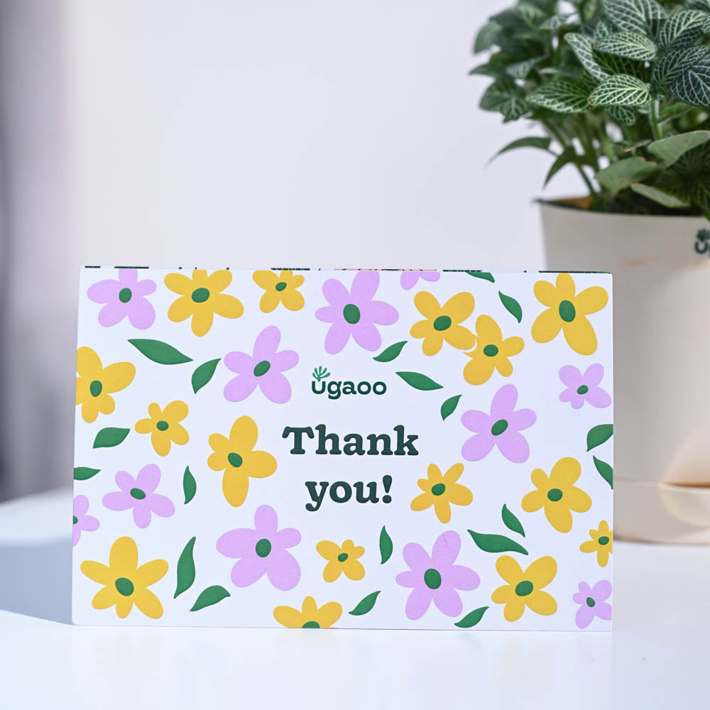 Ugaoo Fittonia Green Thank you Gift Hamper - view 6
