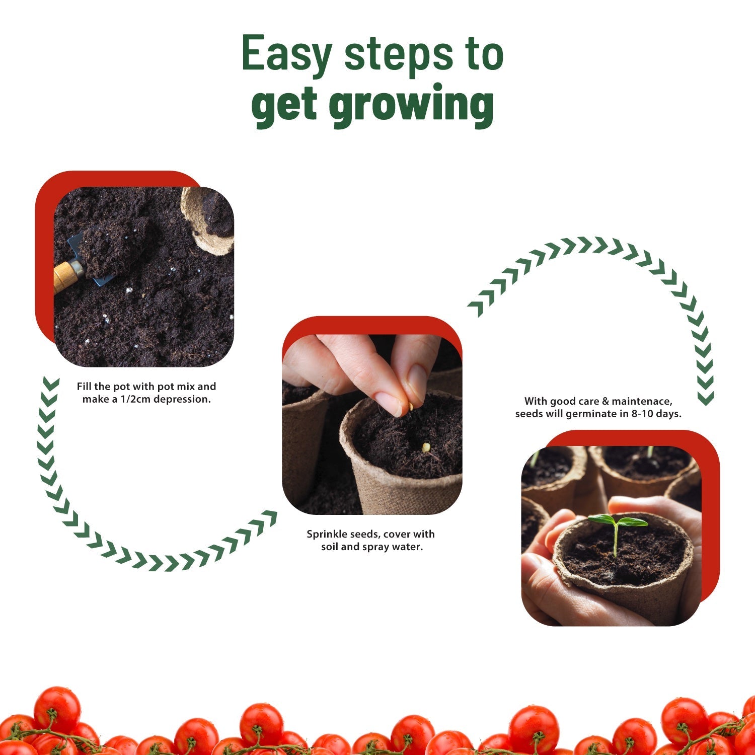 Ugaoo Treasures Cherry Tomato Kit - view 2