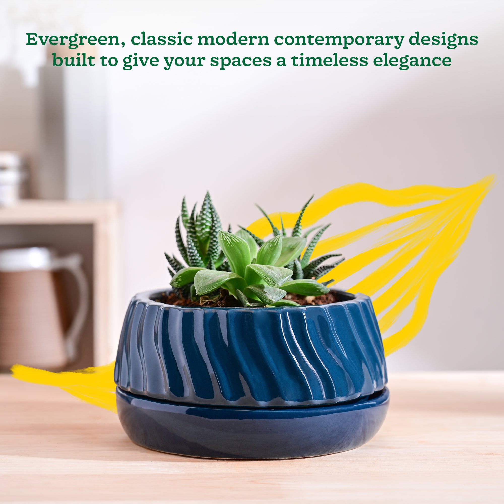Ugaoo Fallen Angel Ceramic Planter - view 58