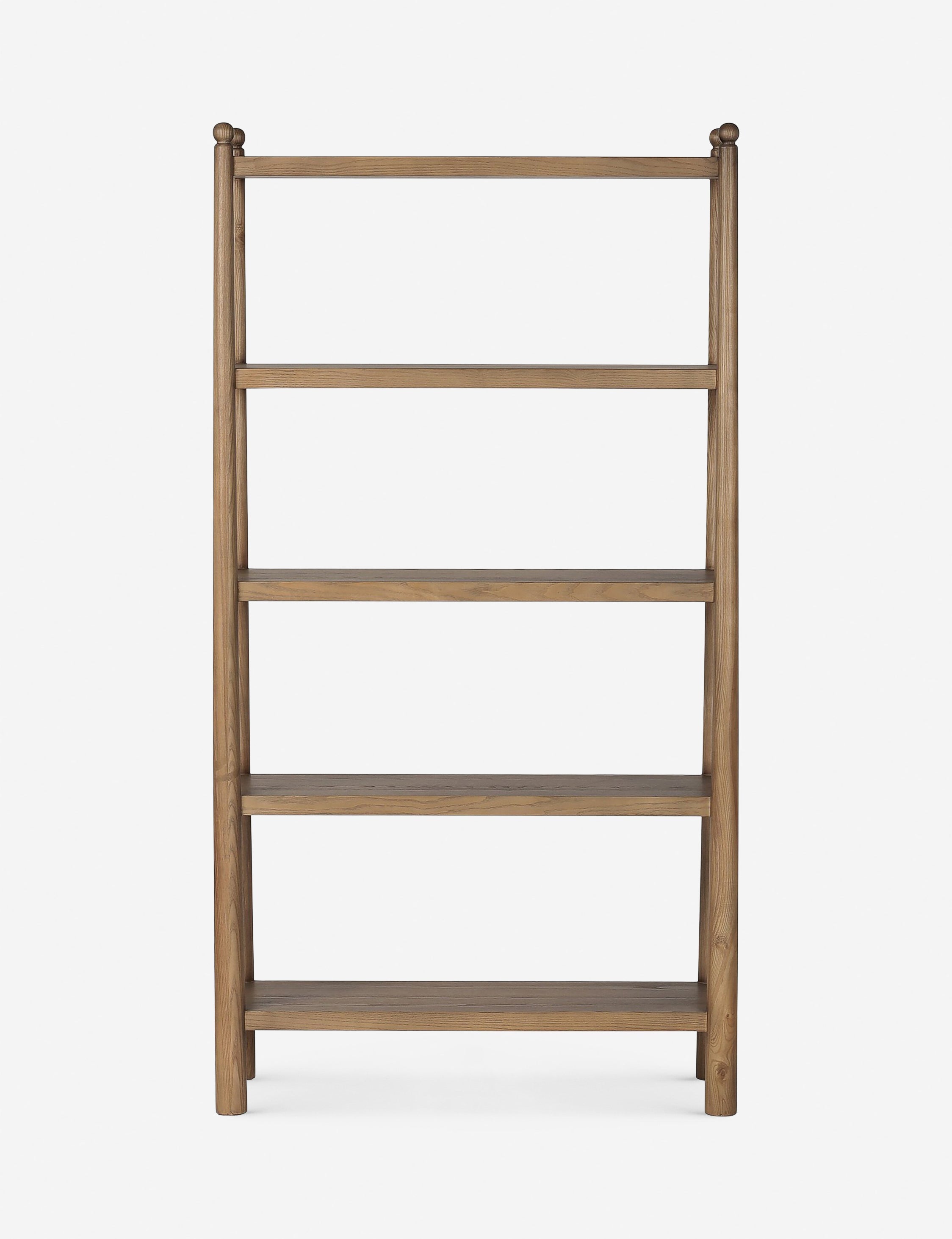 Lulu and Georgia Eldridge Bookcase by Amber Lewis x Four Hands - view 2