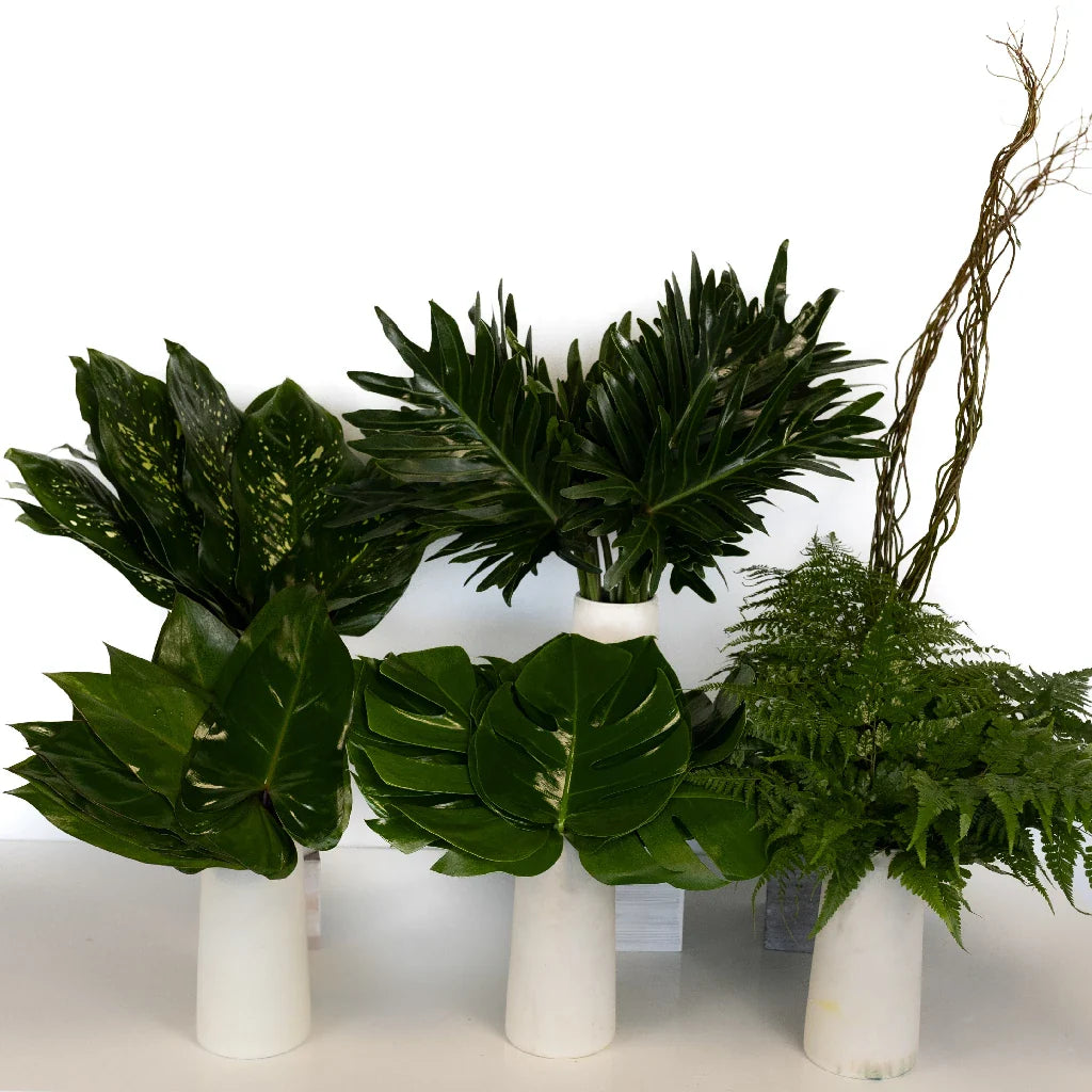 FiftyFlowers Evergreen Foliage DIY Greenery Kit - view 2