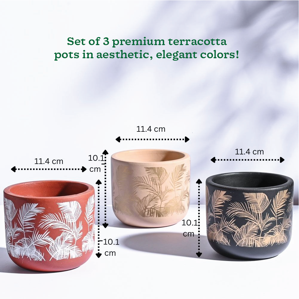 Ugaoo Sienna Terracotta Pots - Set of 3 - view 6