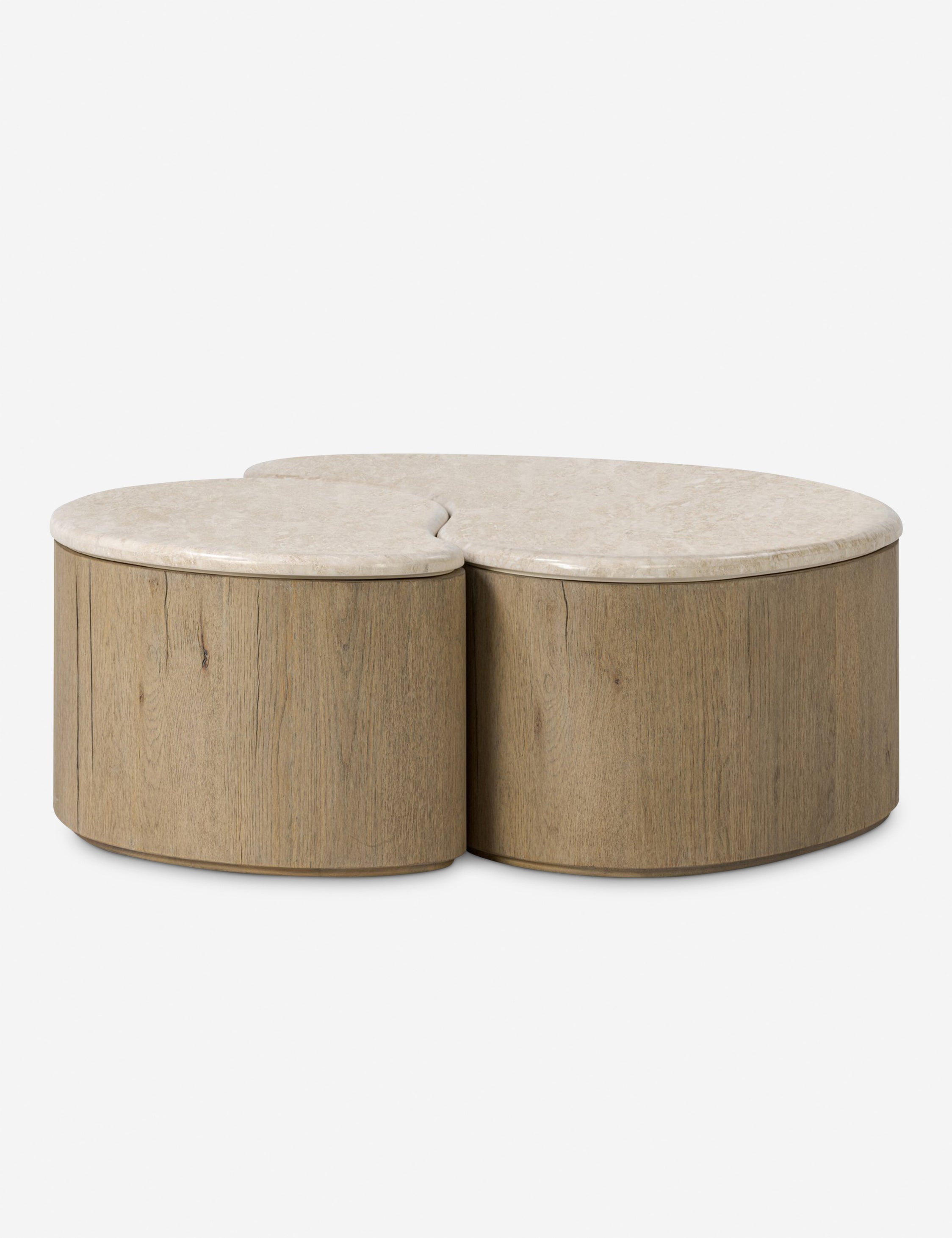 Lulu and Georgia Lazaro Nesting Coffee Table (Set of 2)