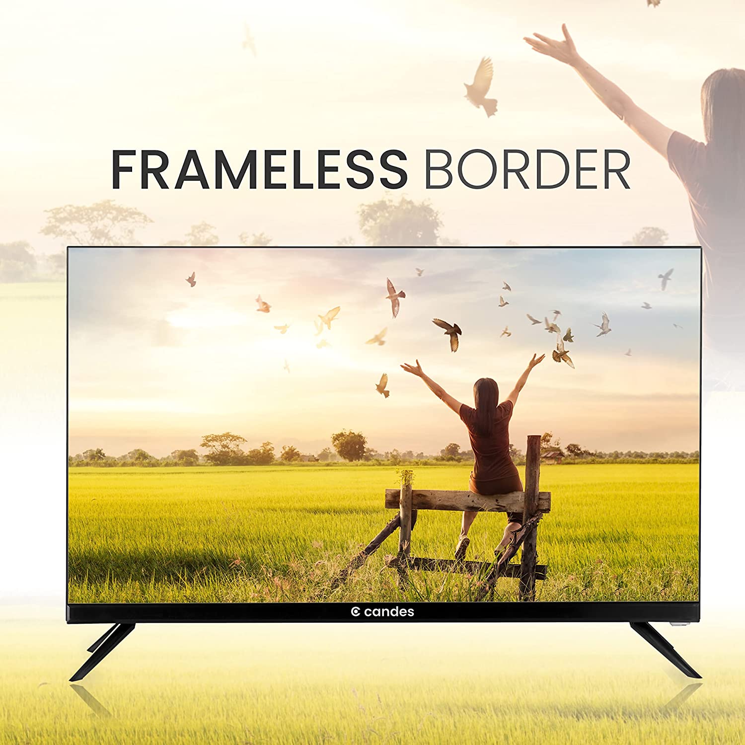 Candes-store Candes Frameless 24 Normal LED TV Black (Model Id - CANDES24NCF24N001) - view 5