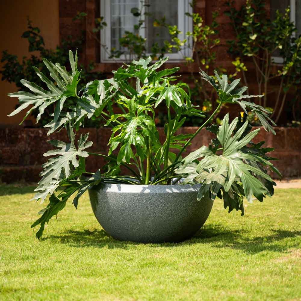 Ugaoo Malta Planter - view 8