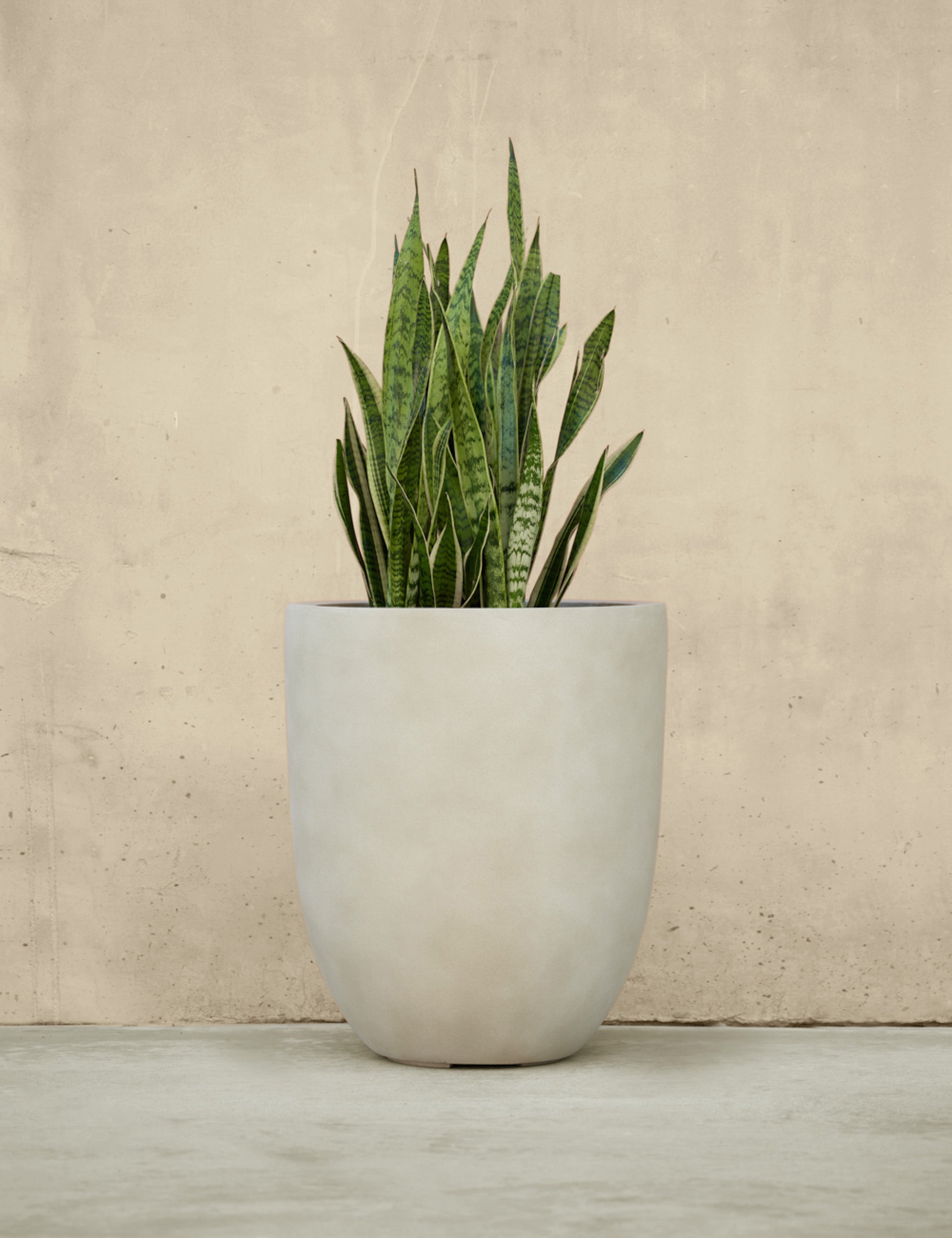 Lulu and Georgia Bradford Planters by Campania International - view 2