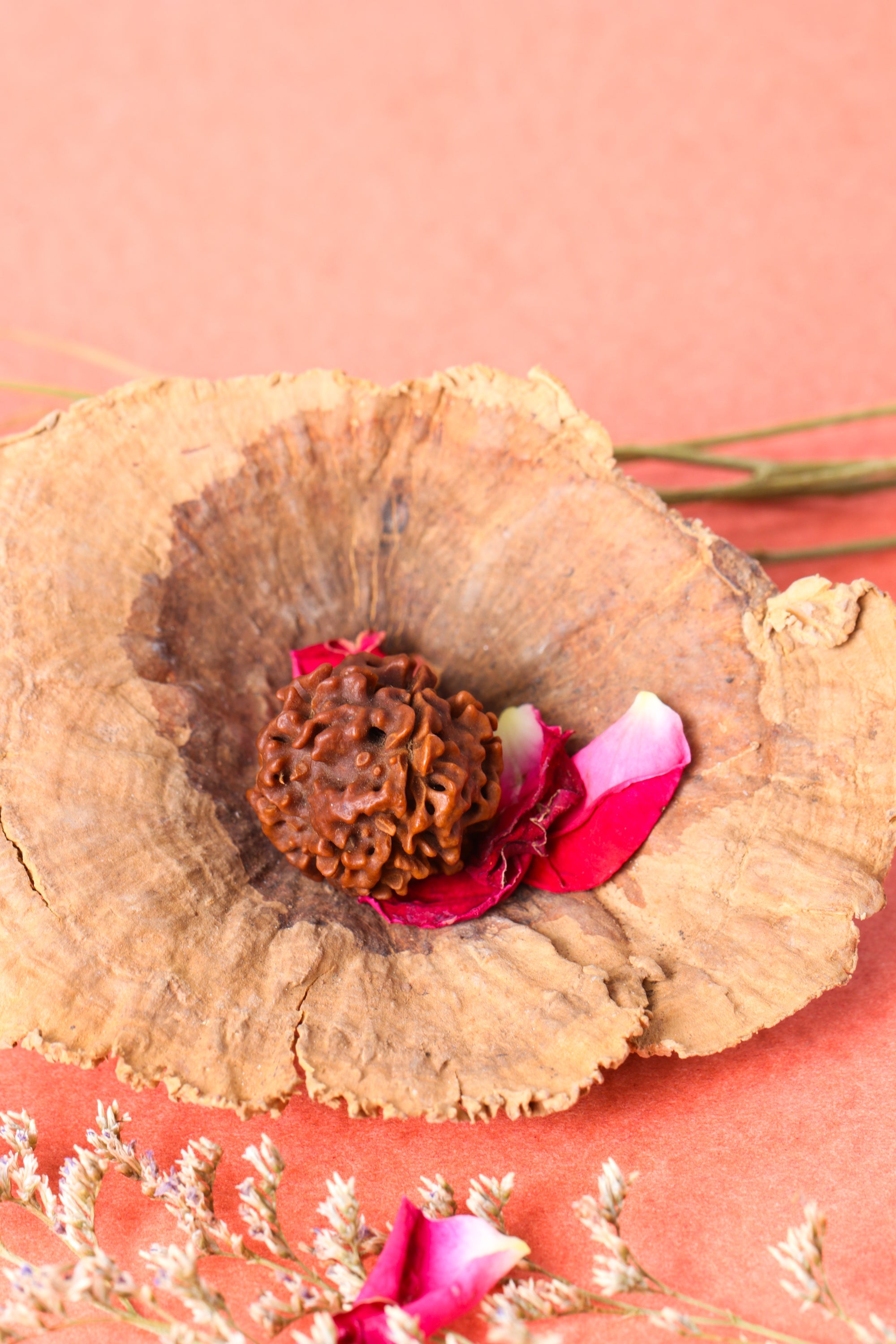 Studio Vaidik 4 mukhi Natural Rudraksha - view 2