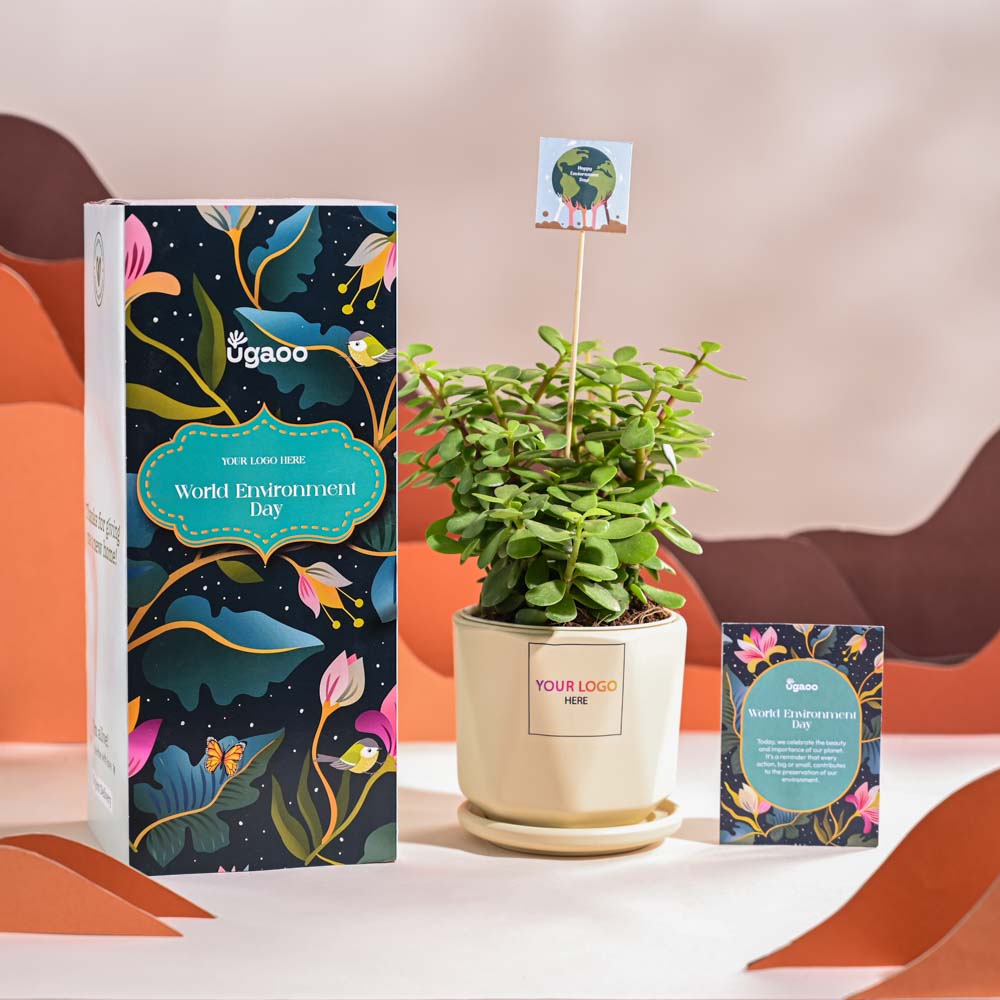 Ugaoo Jade Mini Plant For Environment Day Gifting