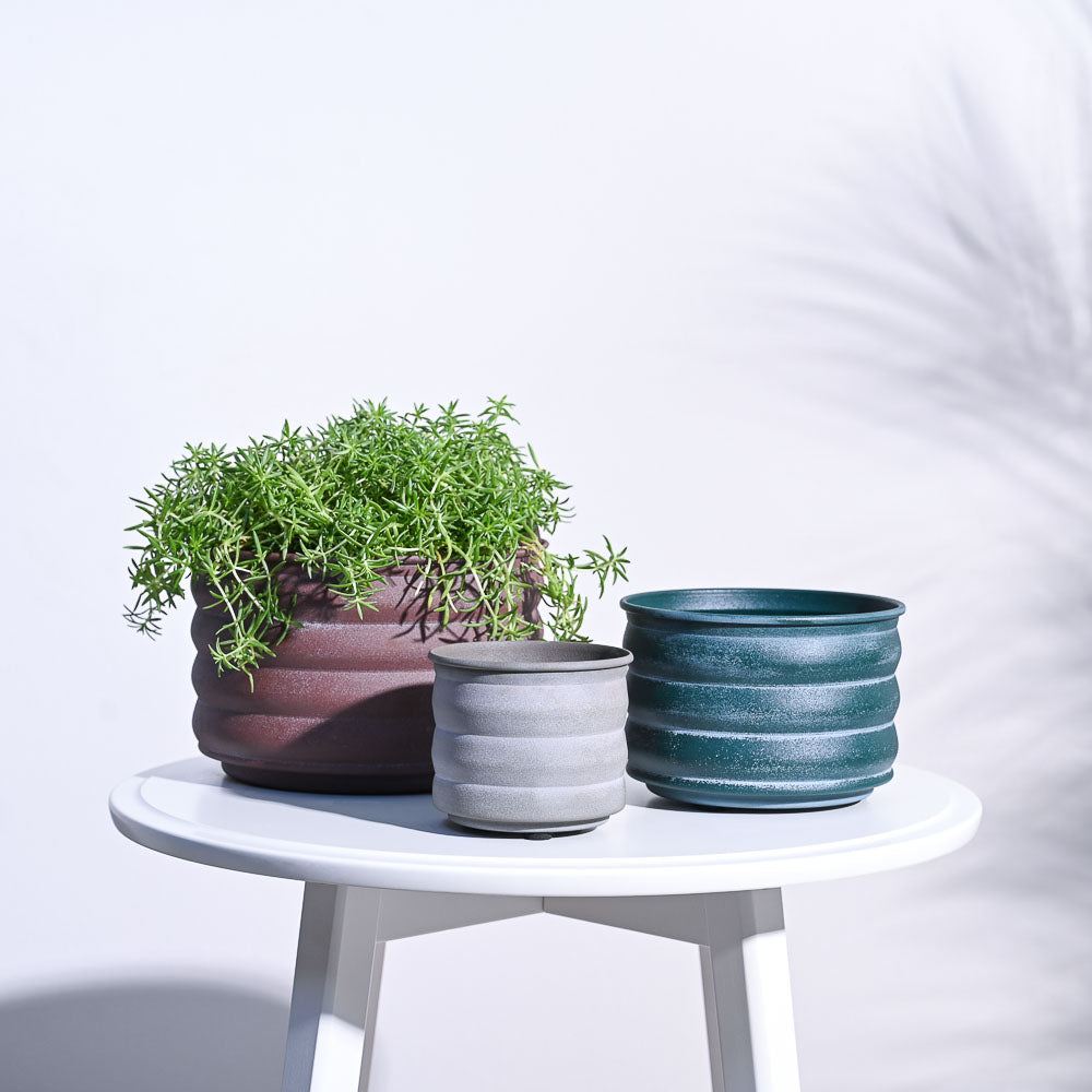 Ugaoo RidgeCraft Cylindrical Planter