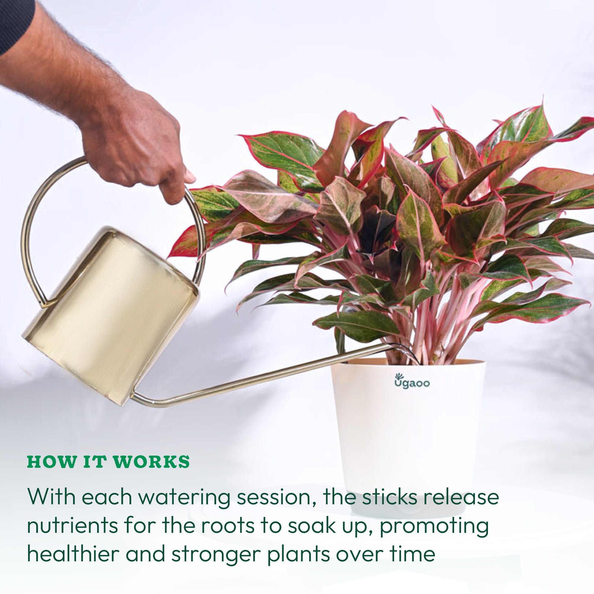 Ugaoo Plant Food Fertilizer Bloom Sticks For Flowering Plants - view 6