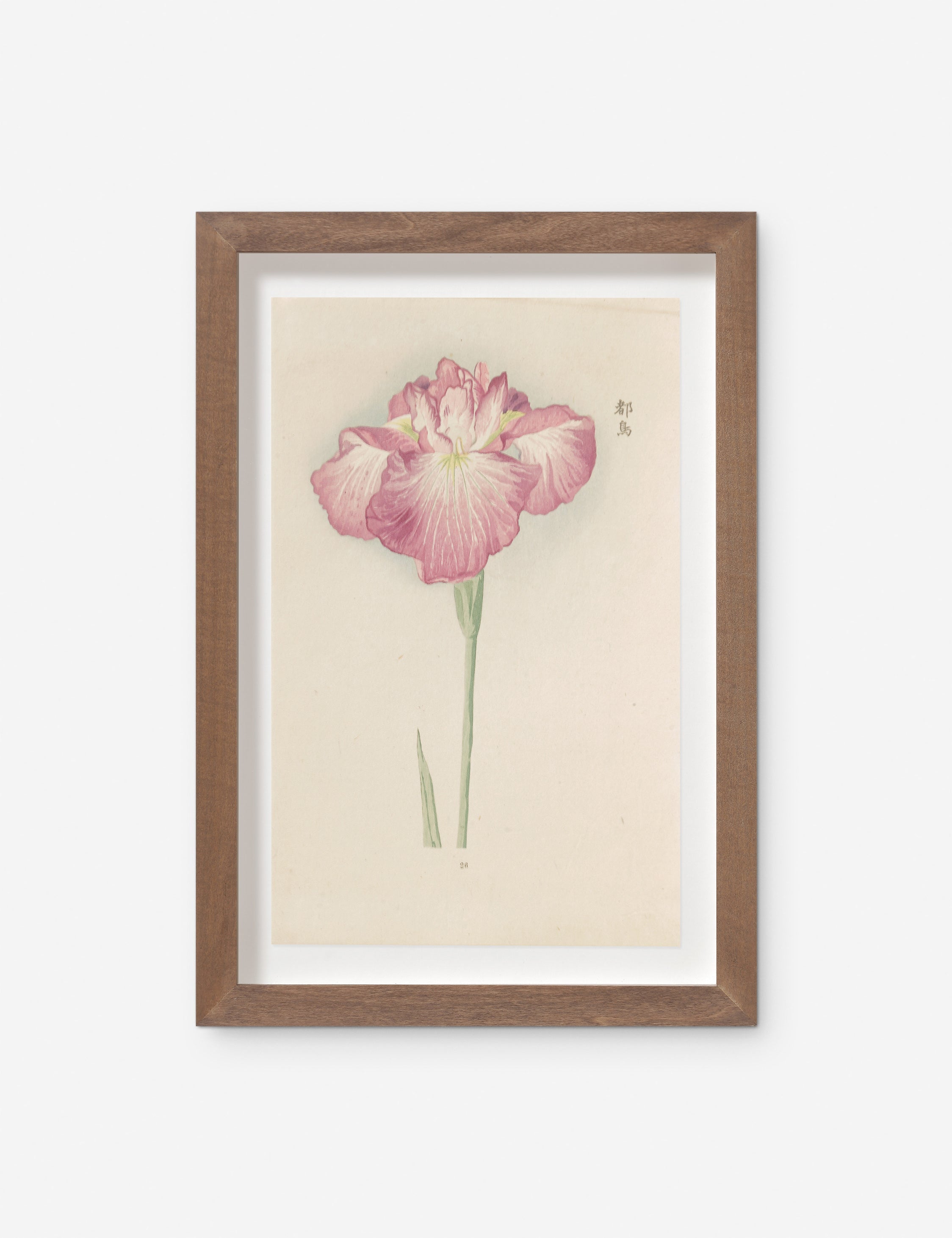 Lulu and Georgia Vintage Japanese Iris No. 26 Wall Art by Miyoshi Manabu