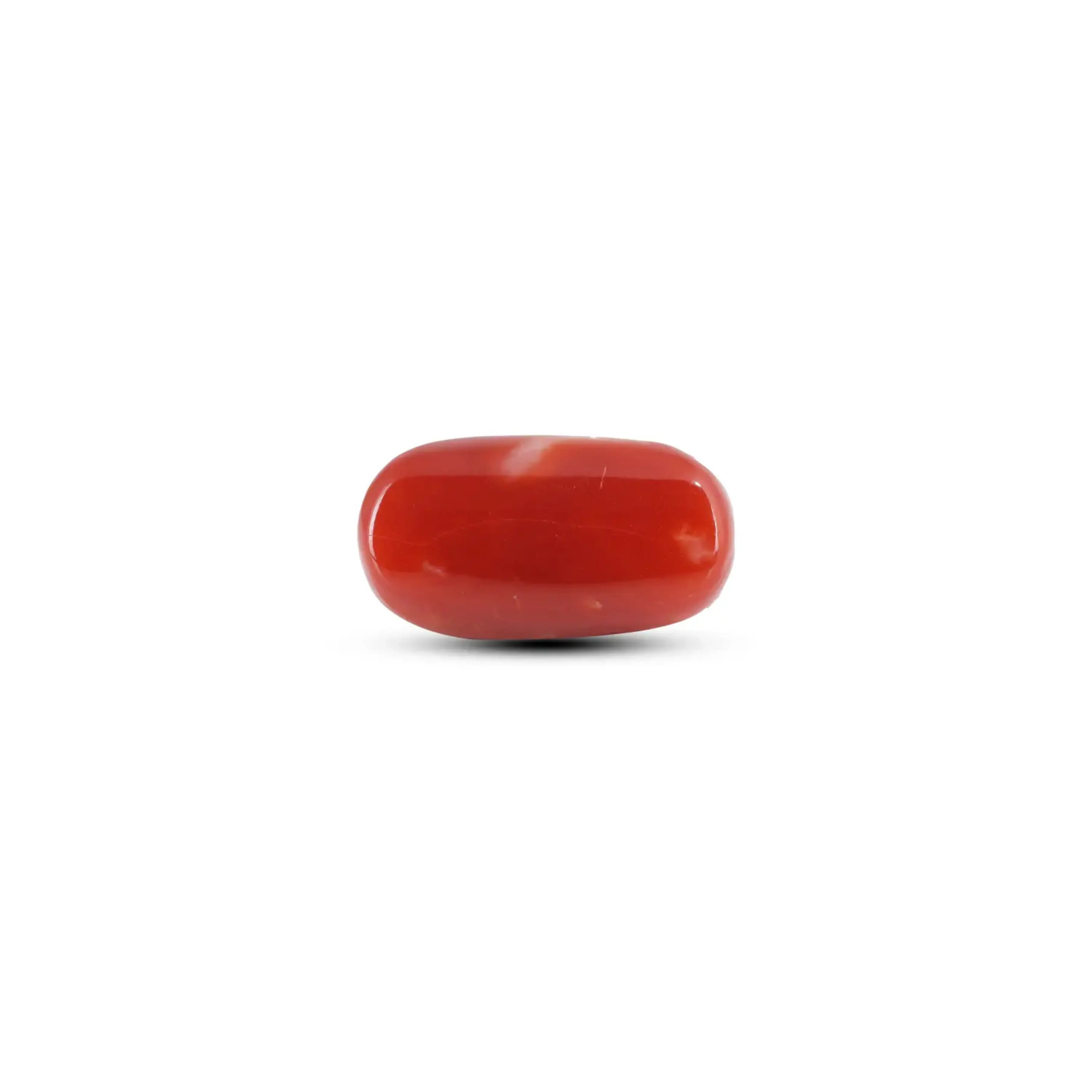 Pramogh Japanese Red Coral - 12.4 Carat - view 2