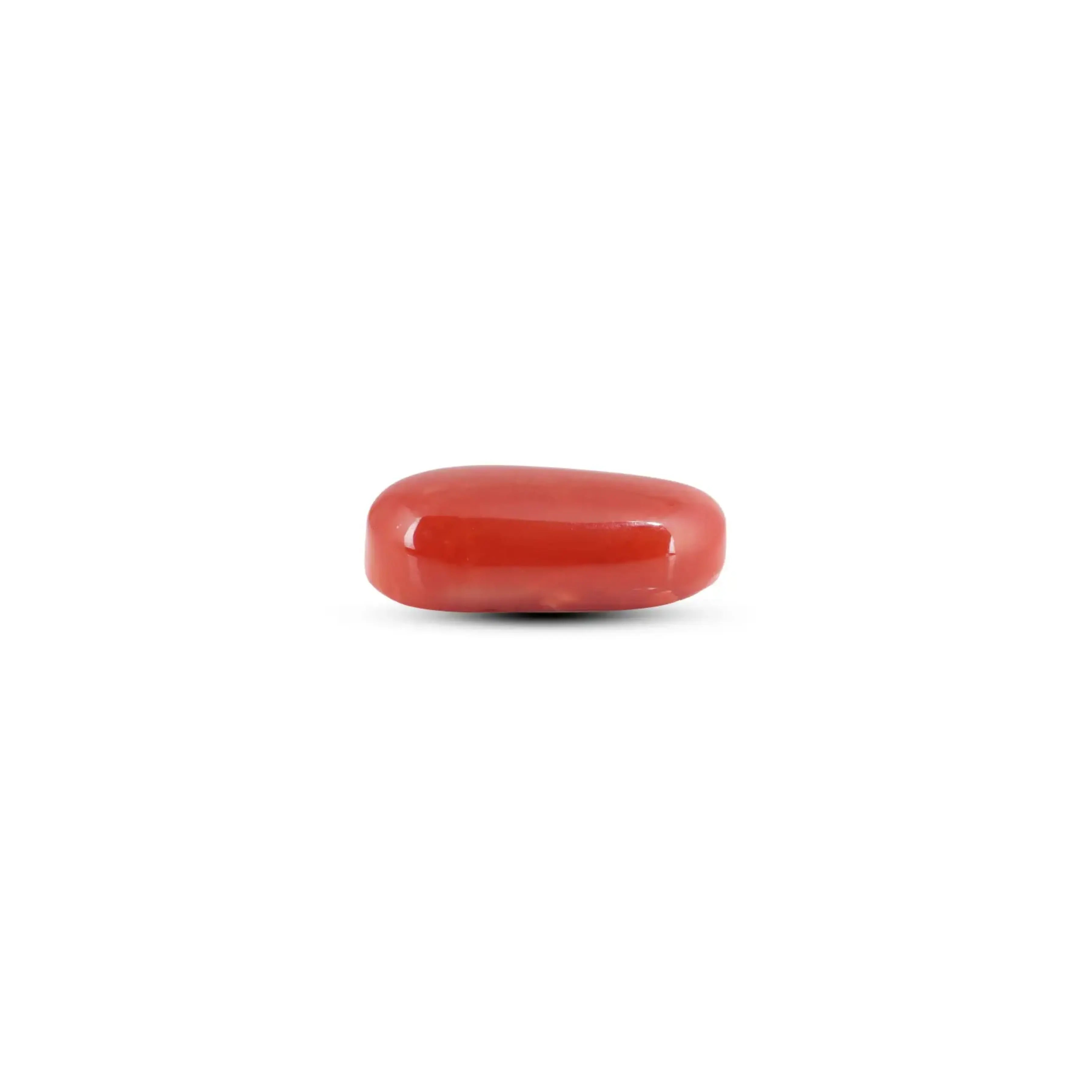 Pramogh Japanese Red Coral - 5.9 Carat - view 3
