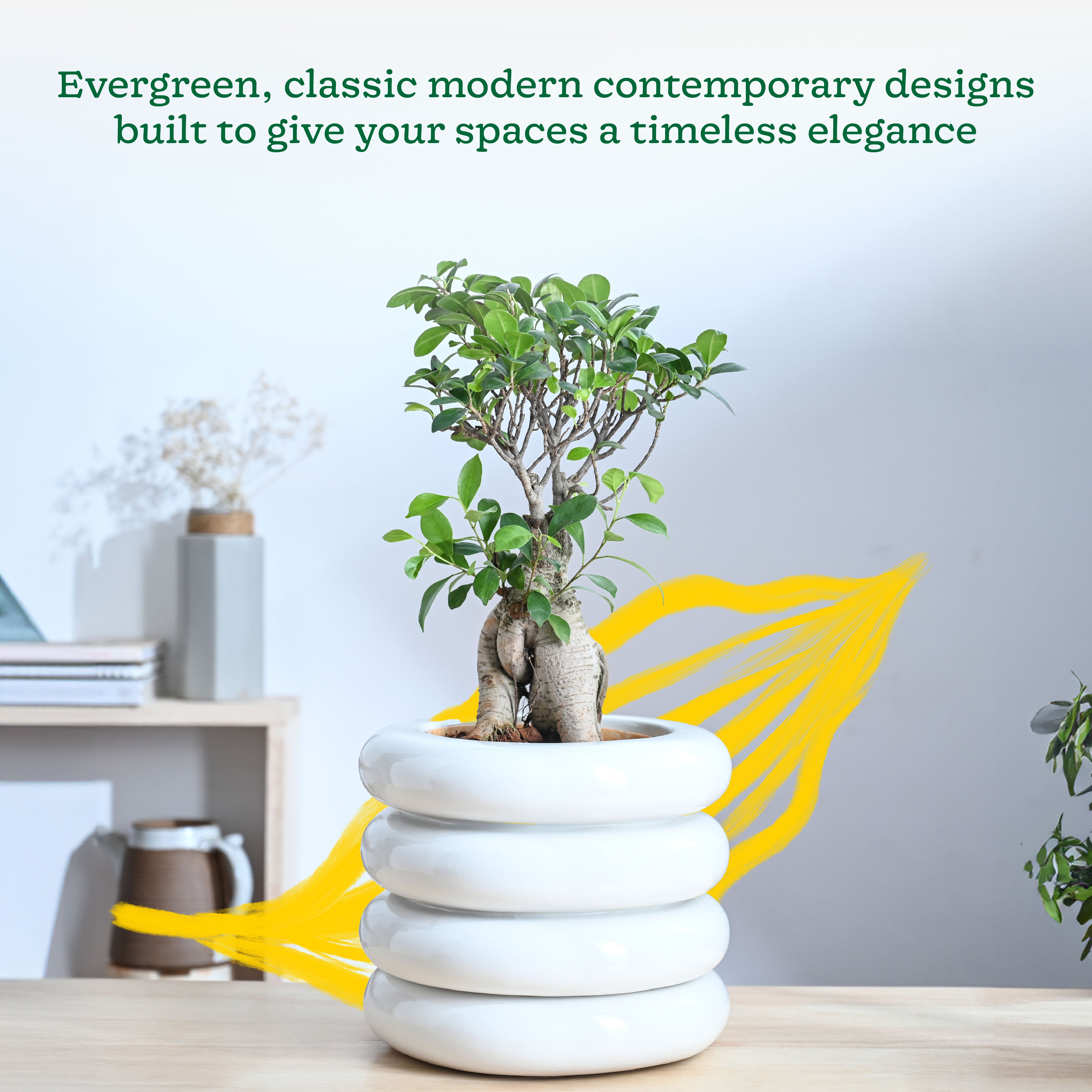 Ugaoo Tiny Kisses Ceramic Planter - view 42