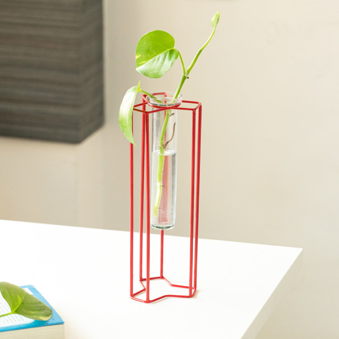 EXCLUSIVELANE 'Modern Glass Garden' Test Tube Table Planter/Vase (10 Inch, Red)