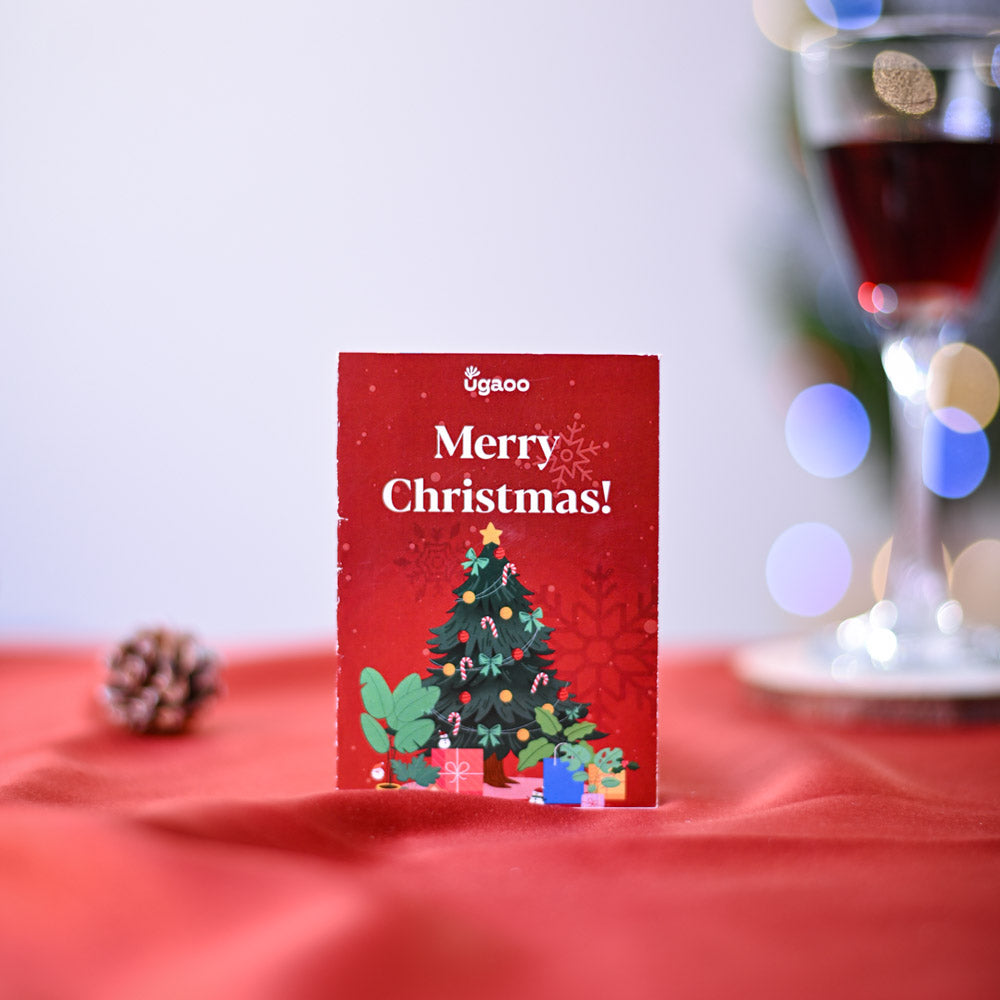 Ugaoo Poinsettia Pink Plant Christmas Gift - view 3
