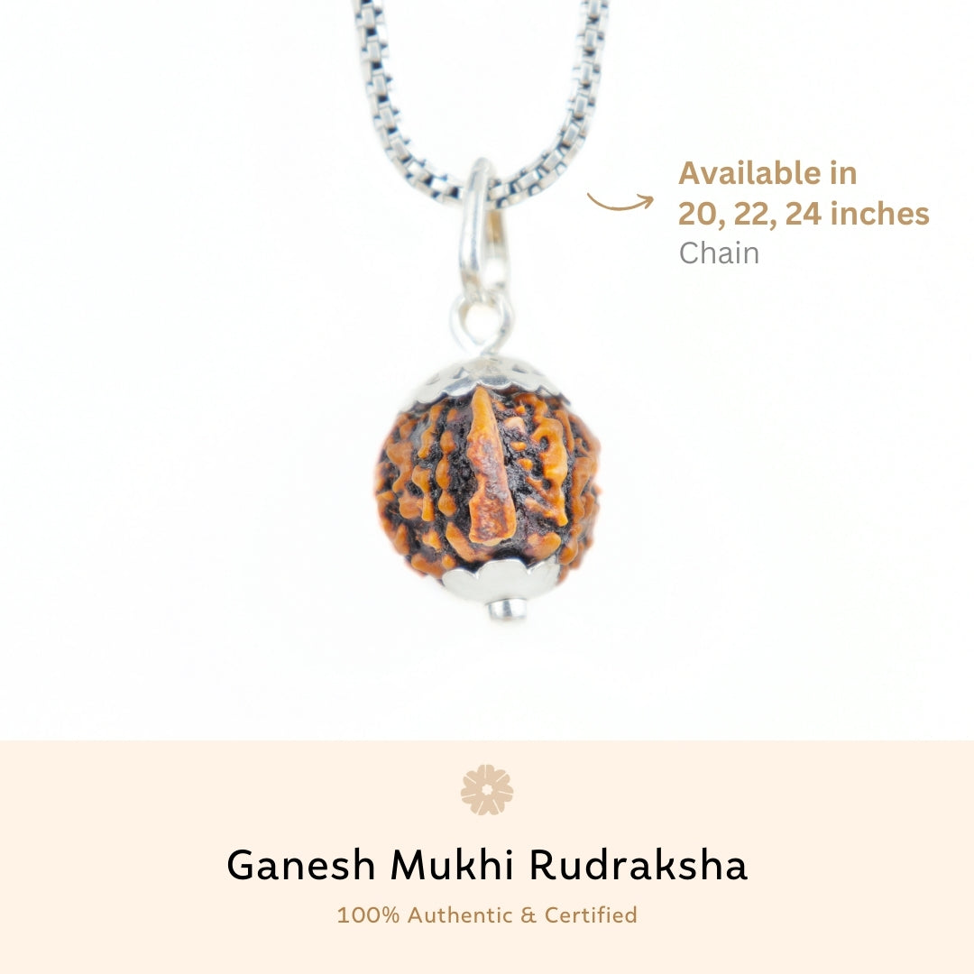 Prinjal Jewellers Silver Capping Ganesh Mukhi Rudraksha Pendant With Chain ( Nepali ) - view 3