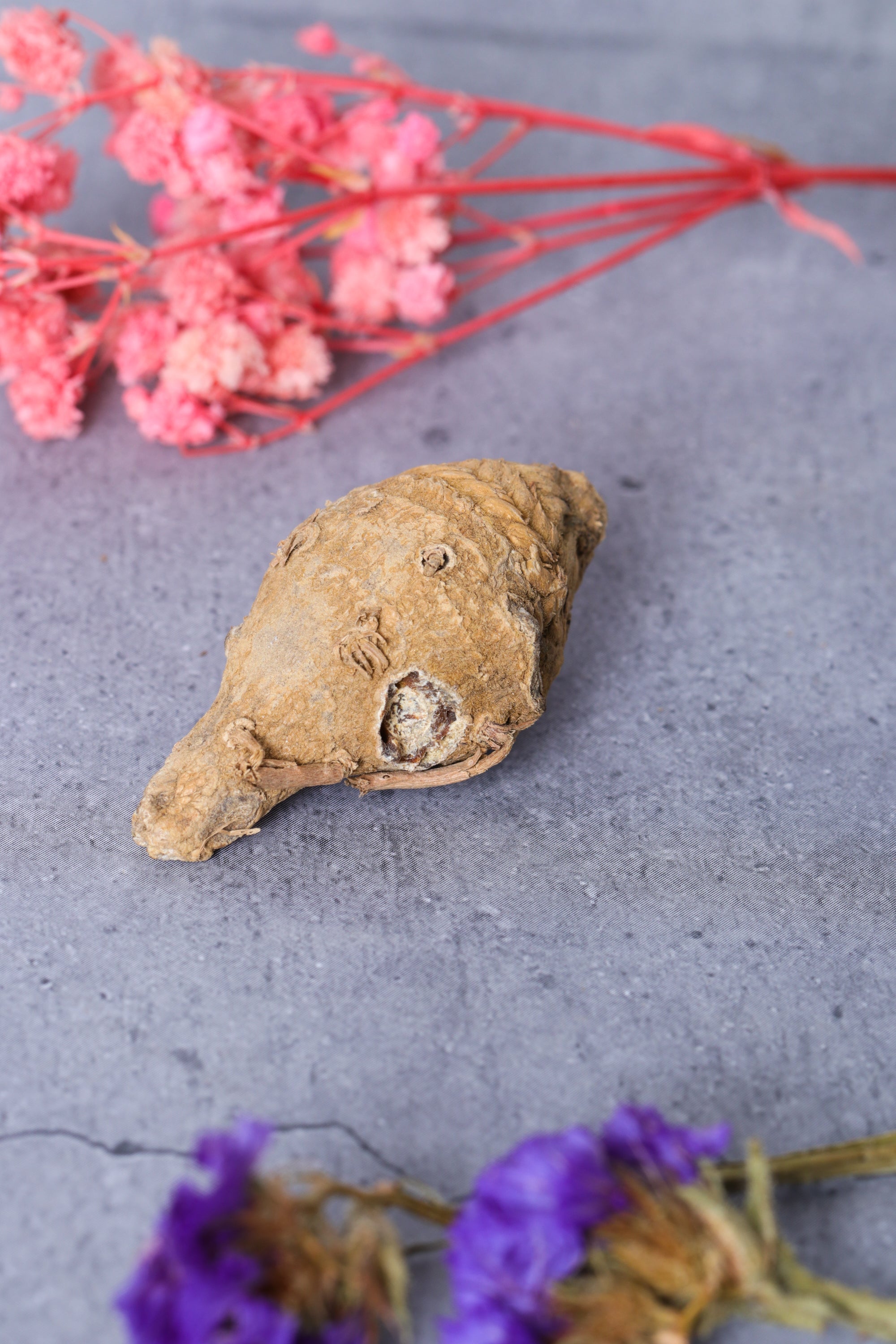 Kali haldi turmeric – Studio Vaidik Kali Haldi / Turmeric for Puja Samagri
